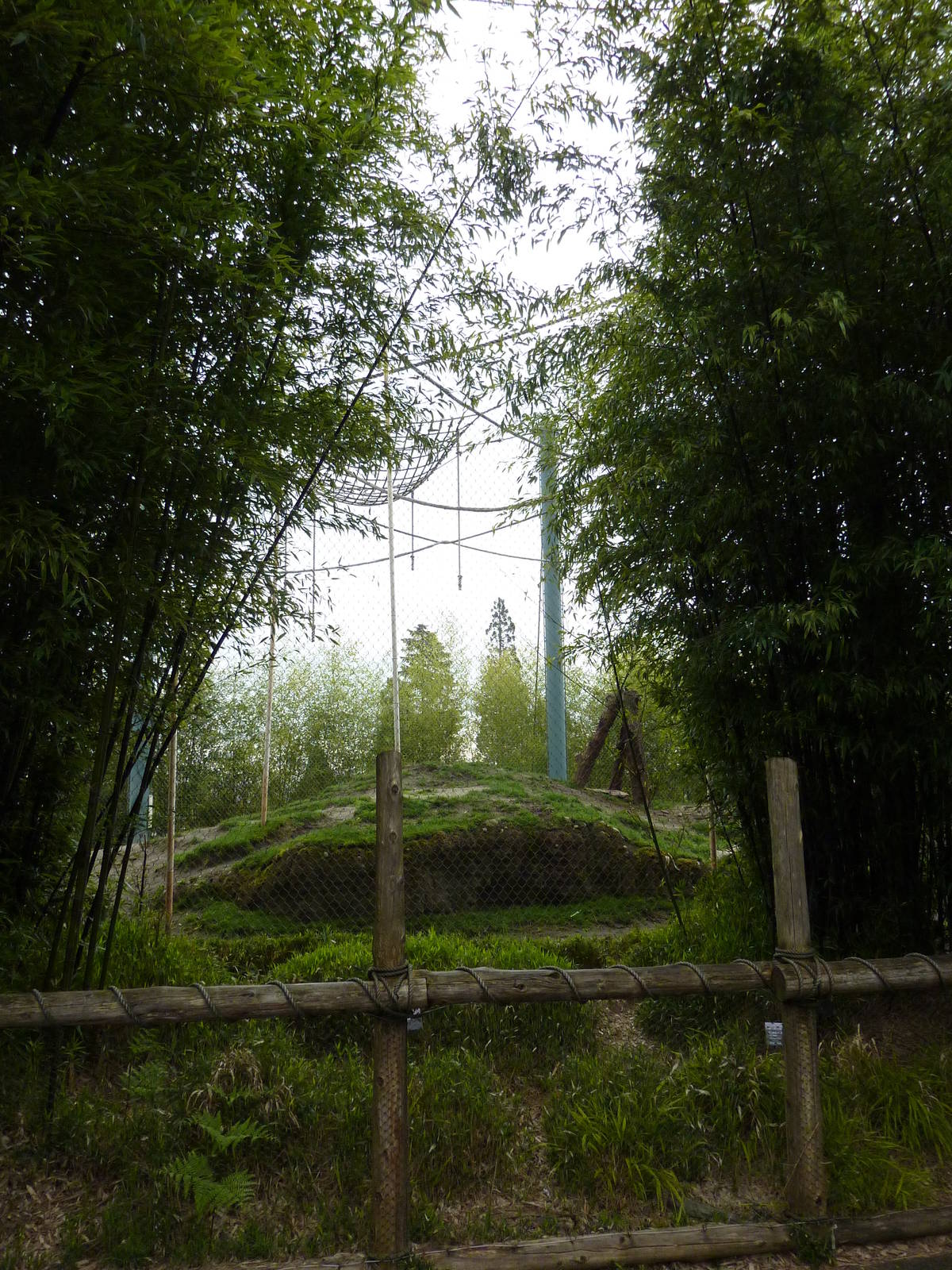 Asian Forest Sanctuary - Rotation Exhibit