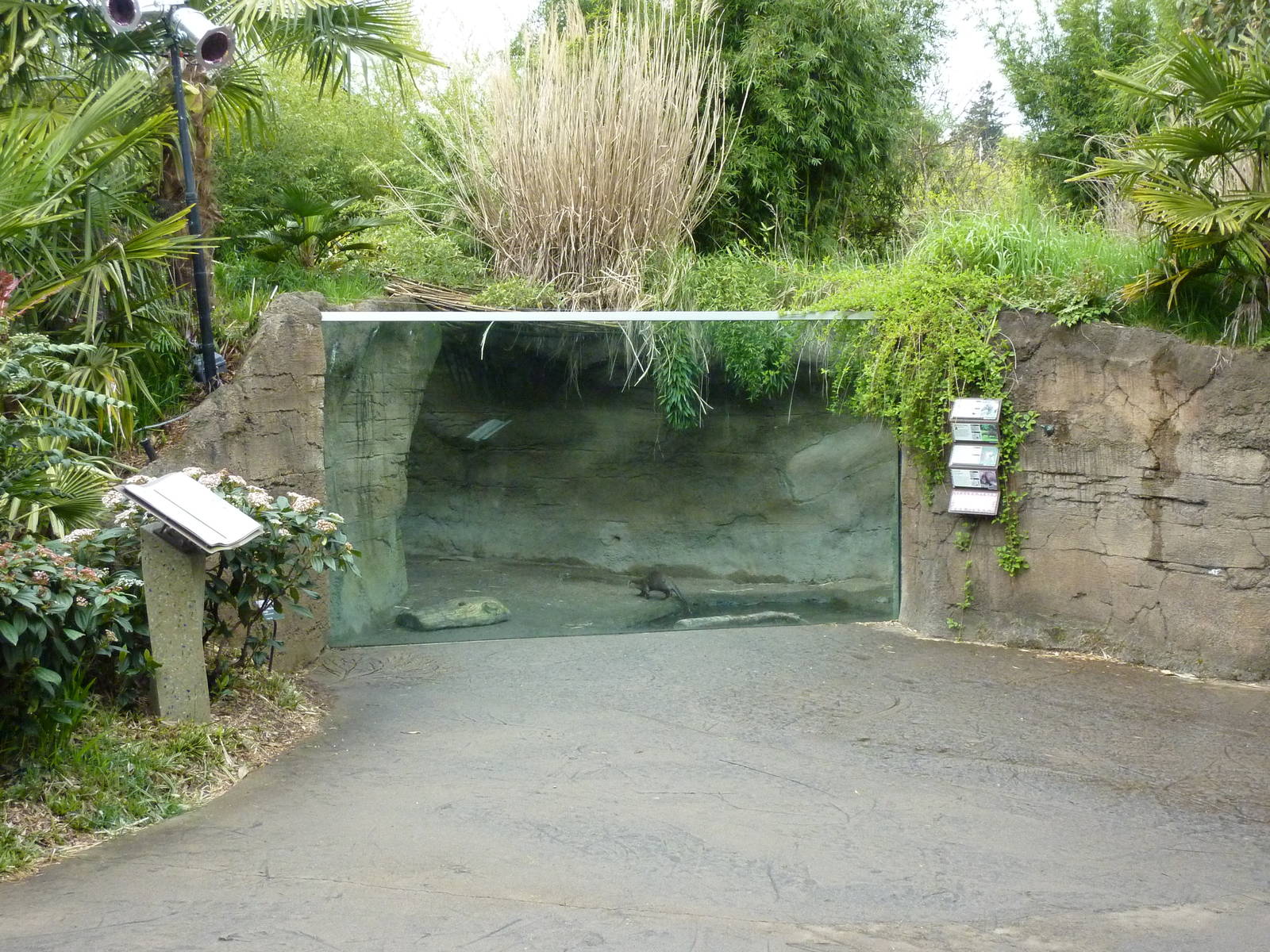 Asian Forest Sanctuary - Rotation Exhibit