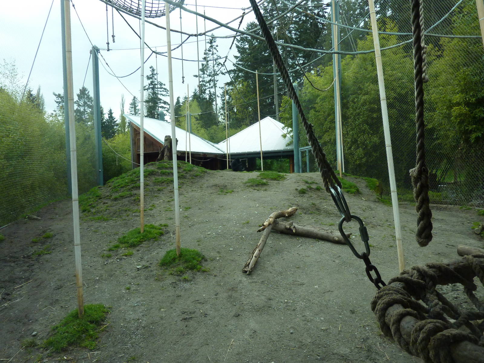 Asian Forest Sanctuary - Rotation Exhibit