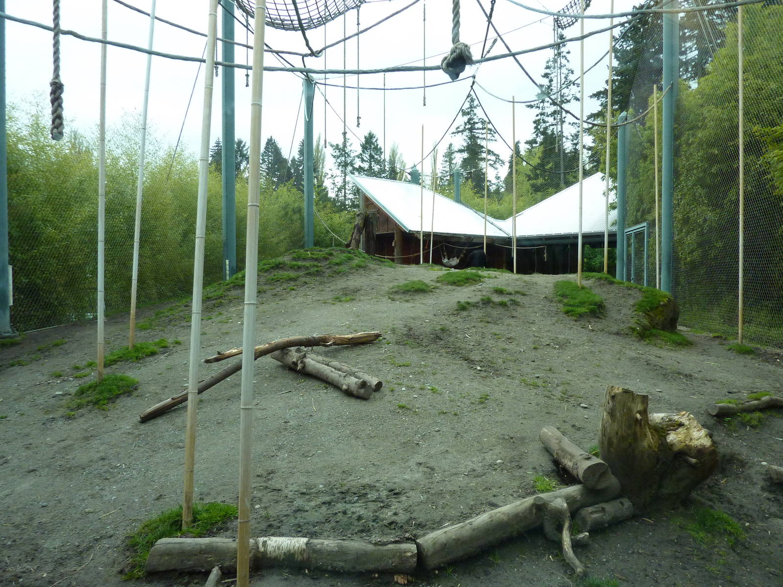 Asian Forest Sanctuary - Rotation Exhibit