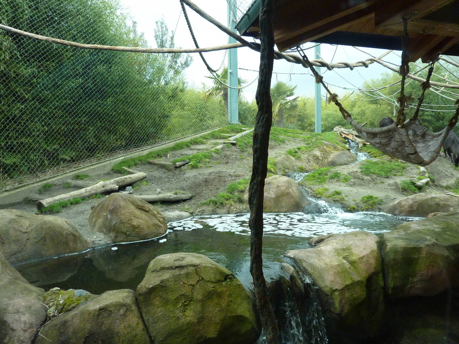 Asian Forest Sanctuary - Rotation Exhibit