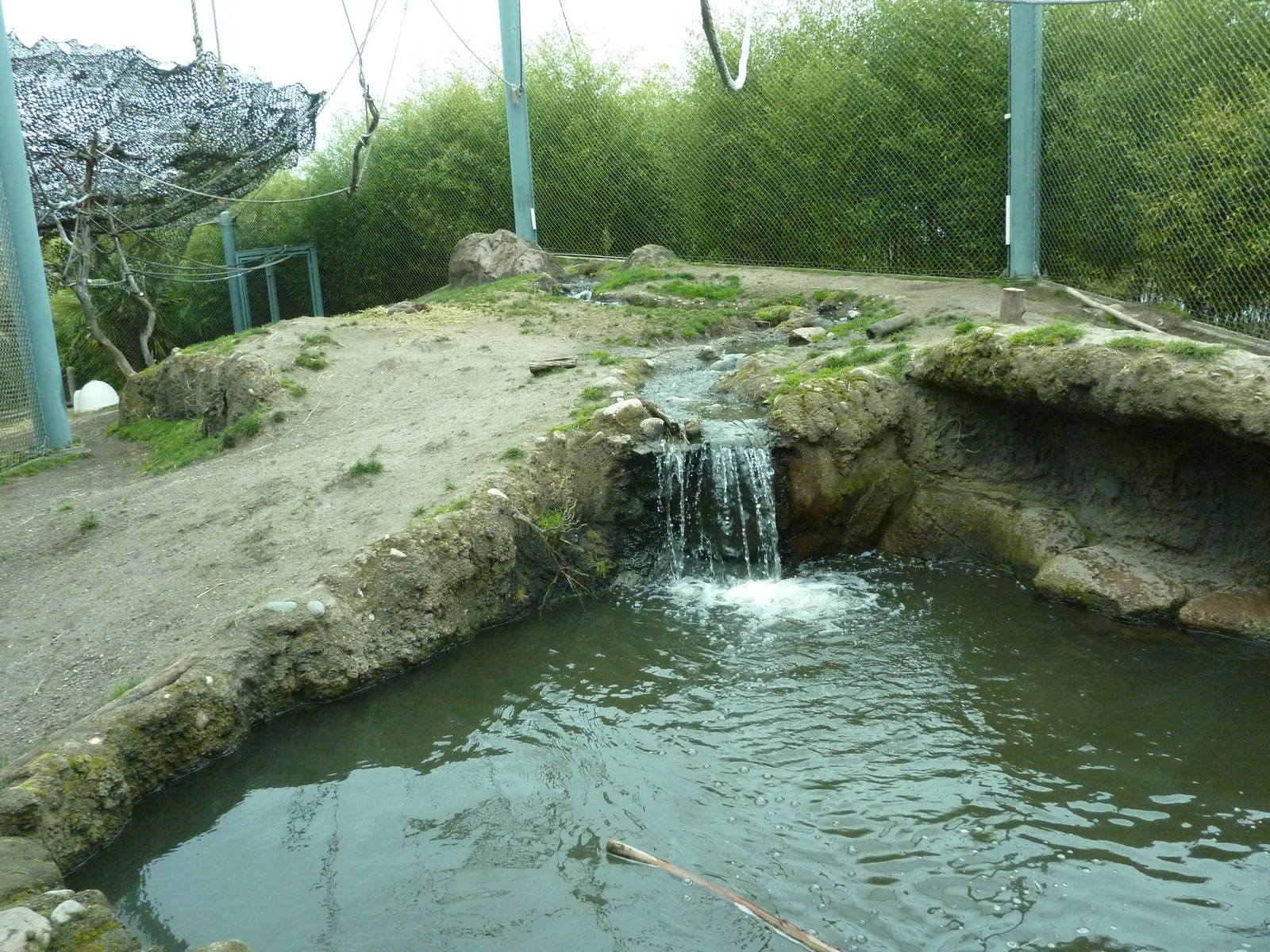 Asian Forest Sanctuary - Rotation Exhibit