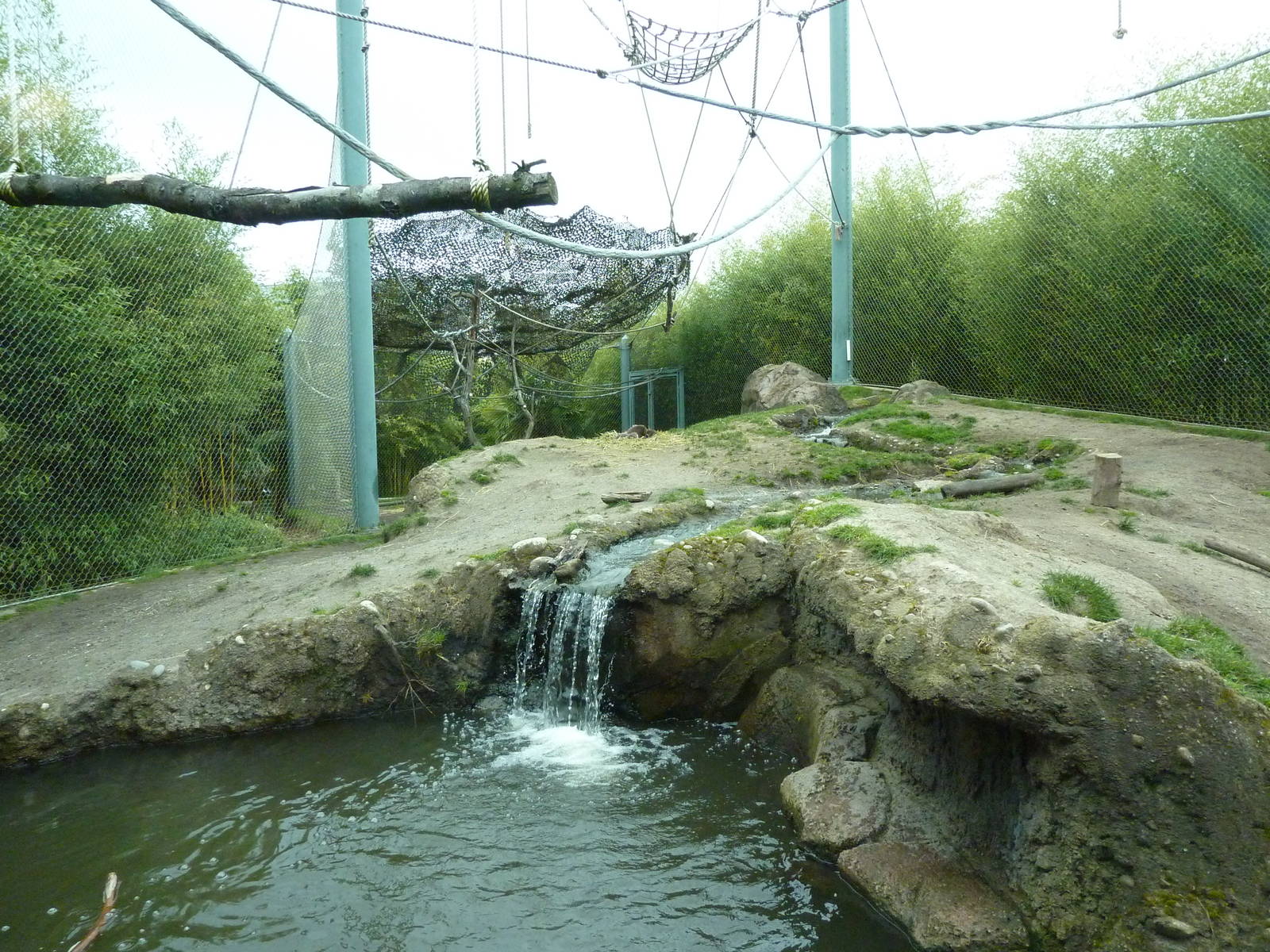 Asian Forest Sanctuary - Rotation Exhibit