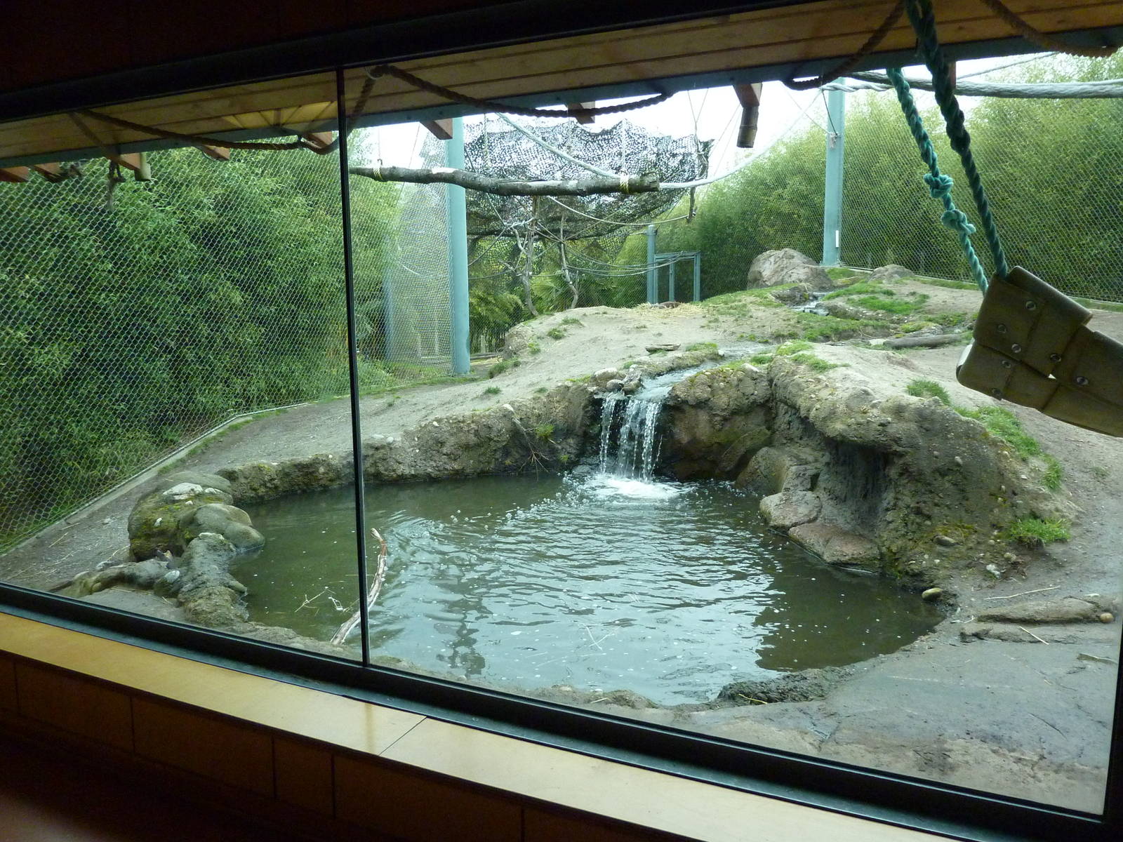 Asian Forest Sanctuary - Rotation Exhibit