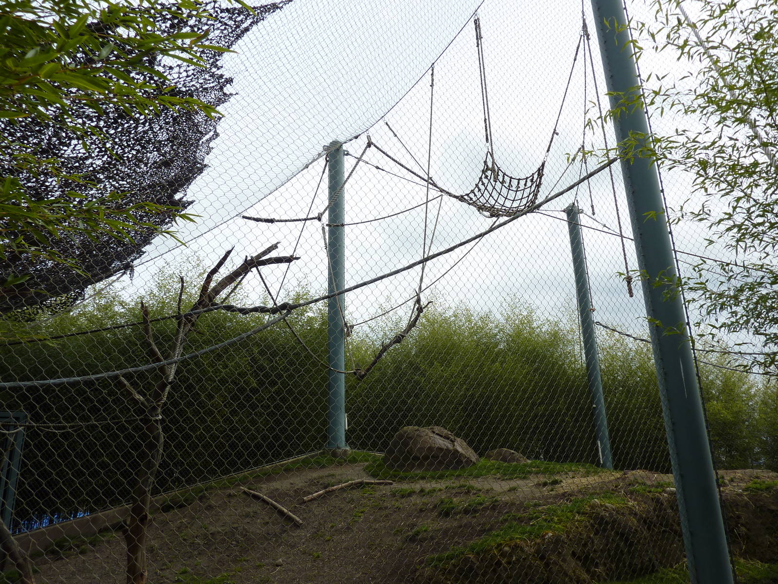 Asian Forest Sanctuary - Rotation Exhibit
