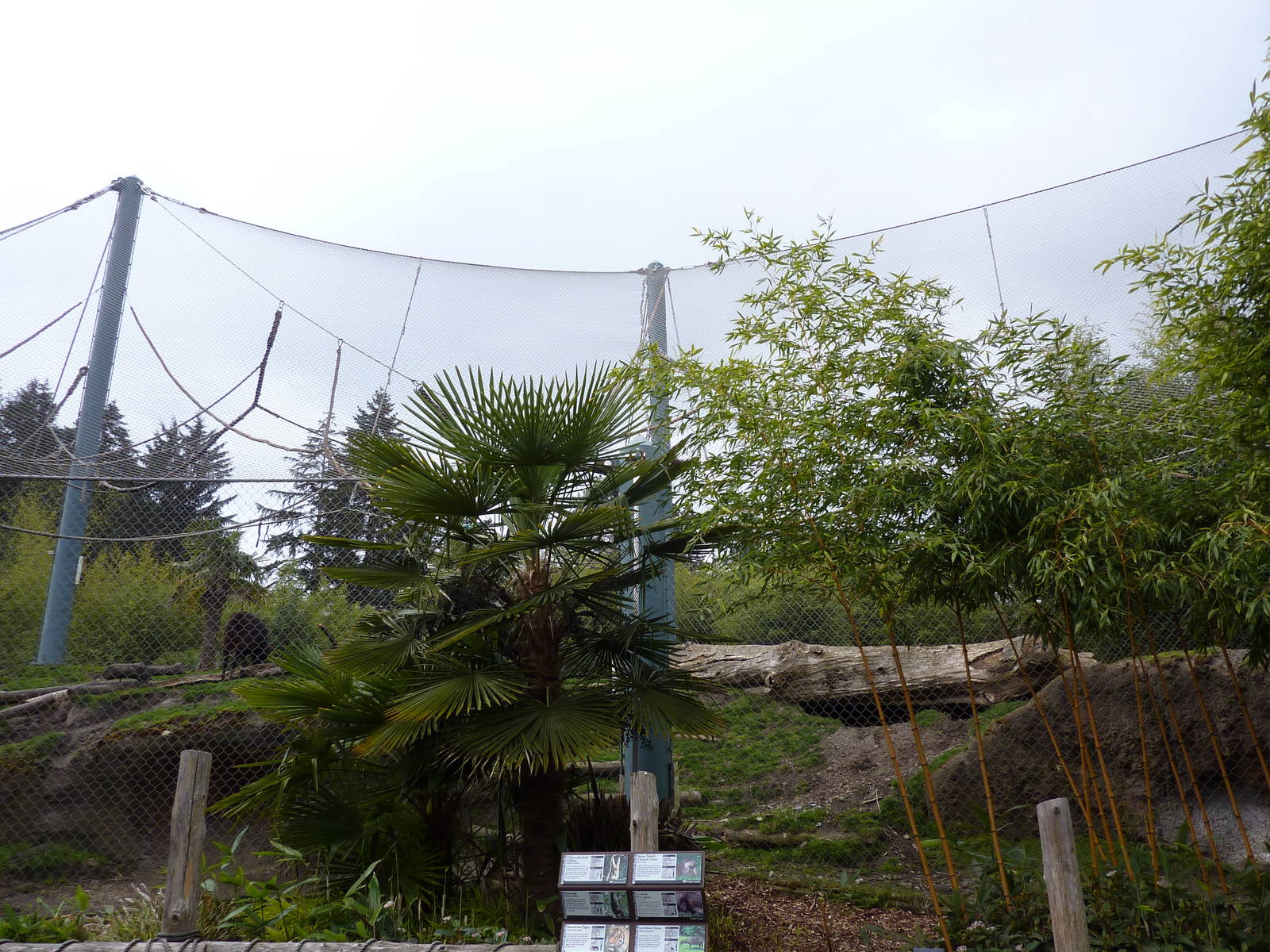 Asian Forest Sanctuary - Rotation Exhibit