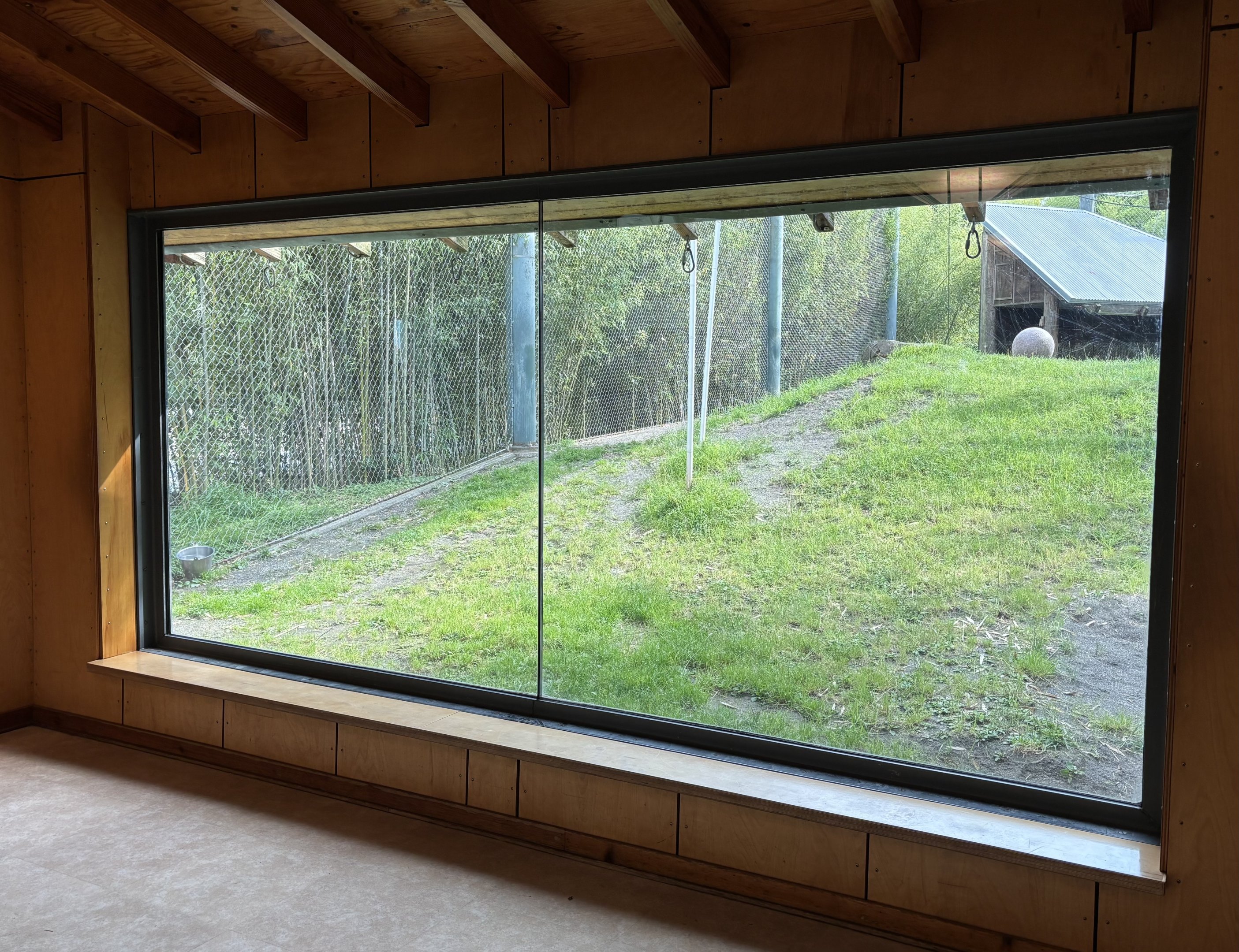 Asian Forest Sanctuary - rotational exhibit