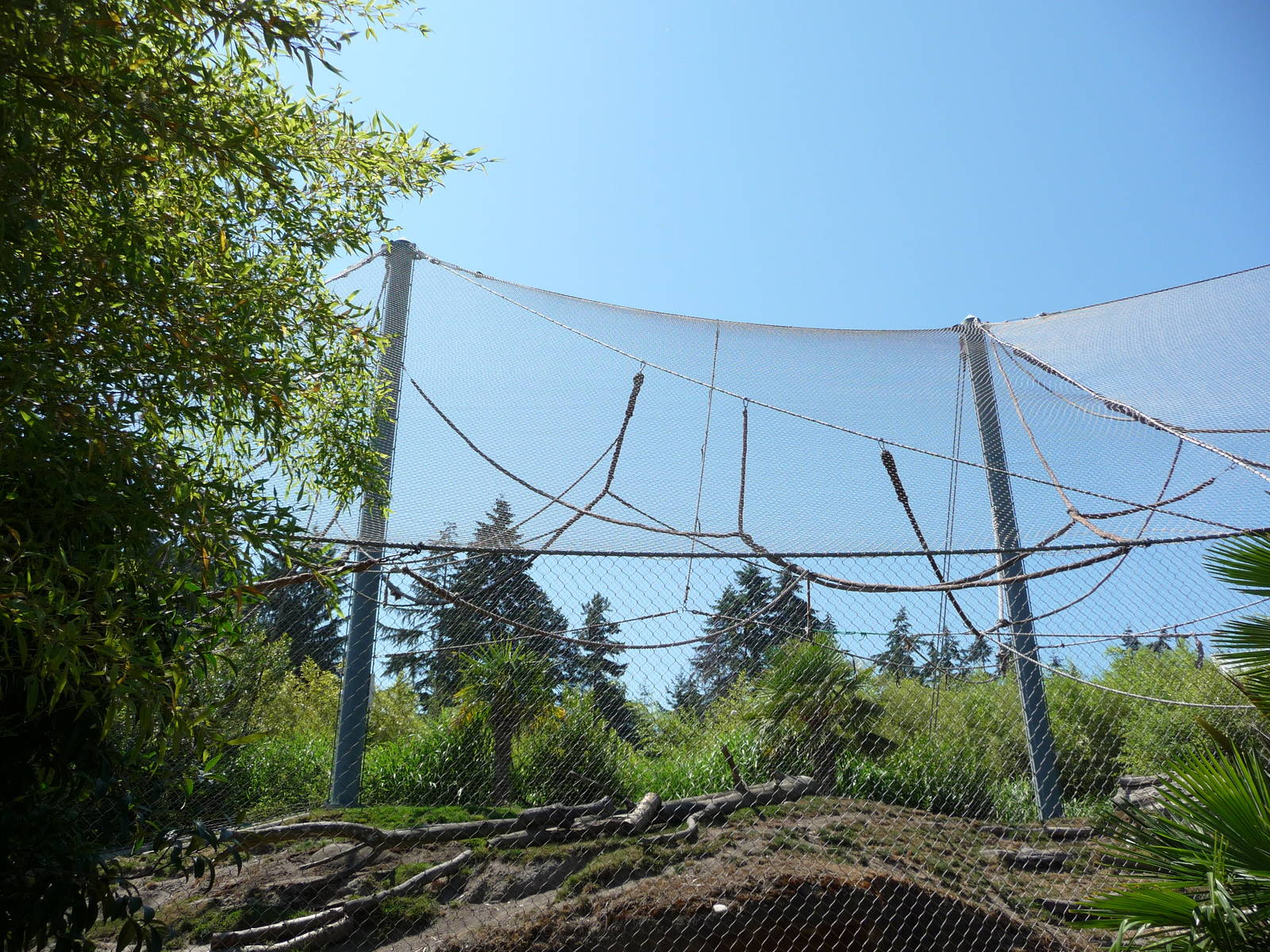 Asian Forest Sanctuary - Scrub Forest