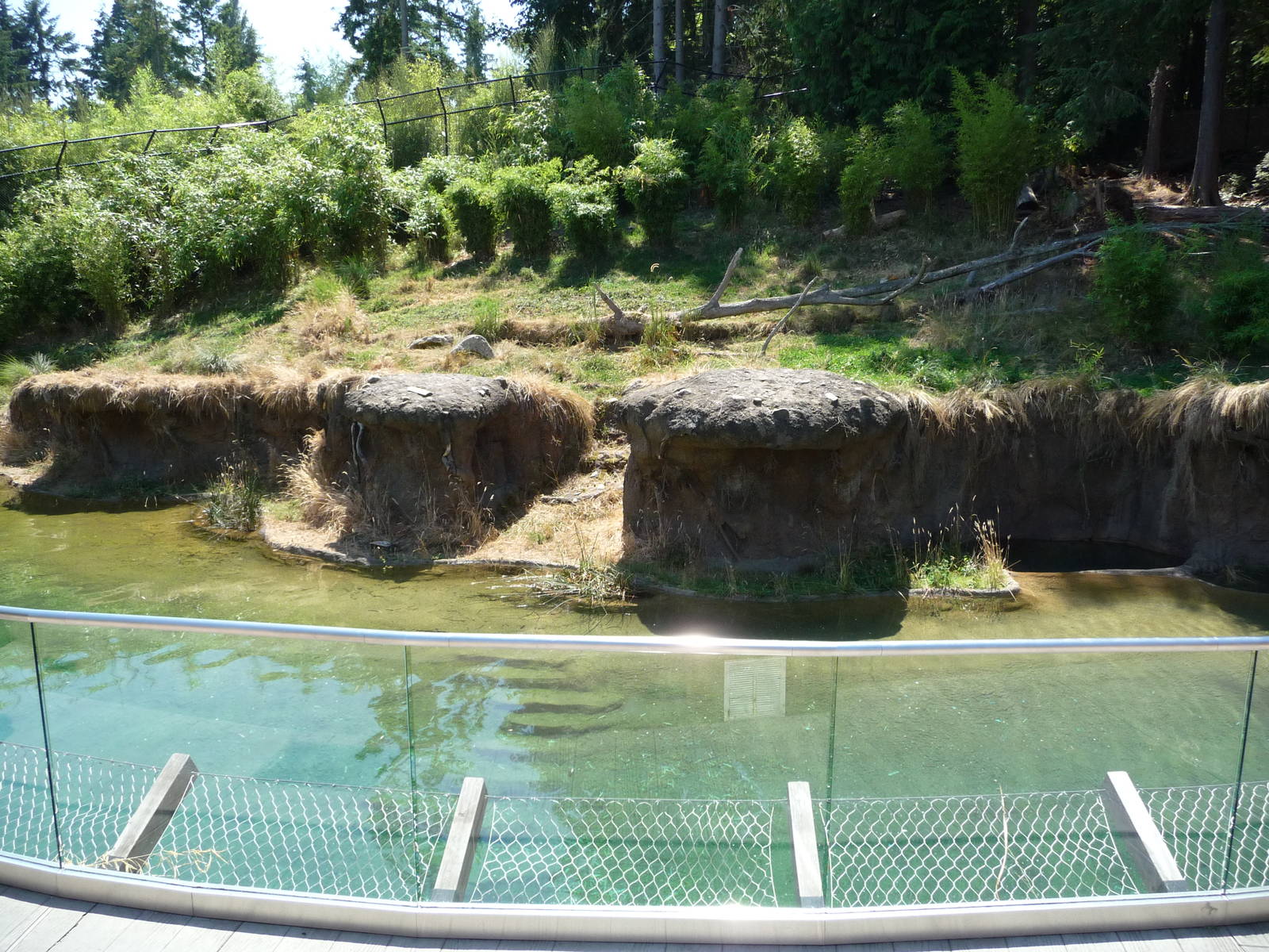 Asian Forest Sanctuary - Waterfall Panorama
