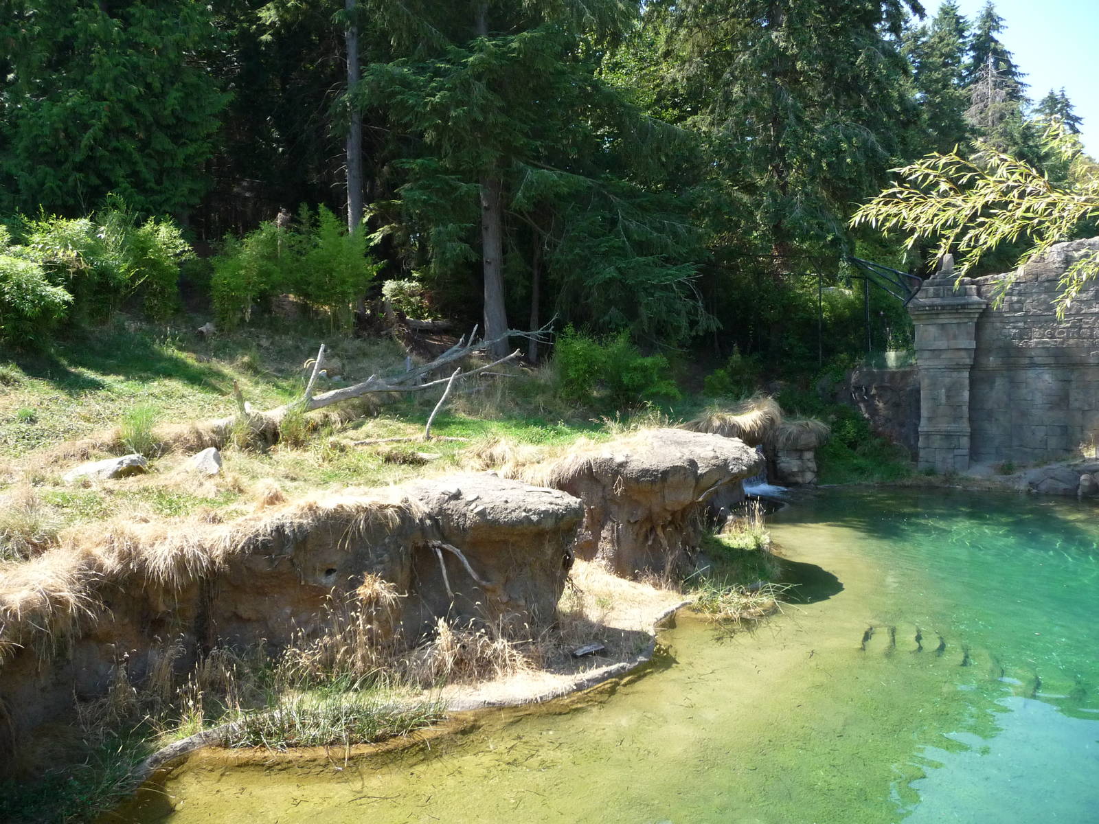 Asian Forest Sanctuary - Waterfall Panorama