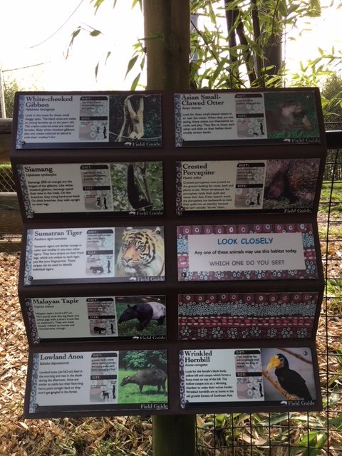 Asian Forest Sanctuary - which of these 8 species will be in each enclosure today?