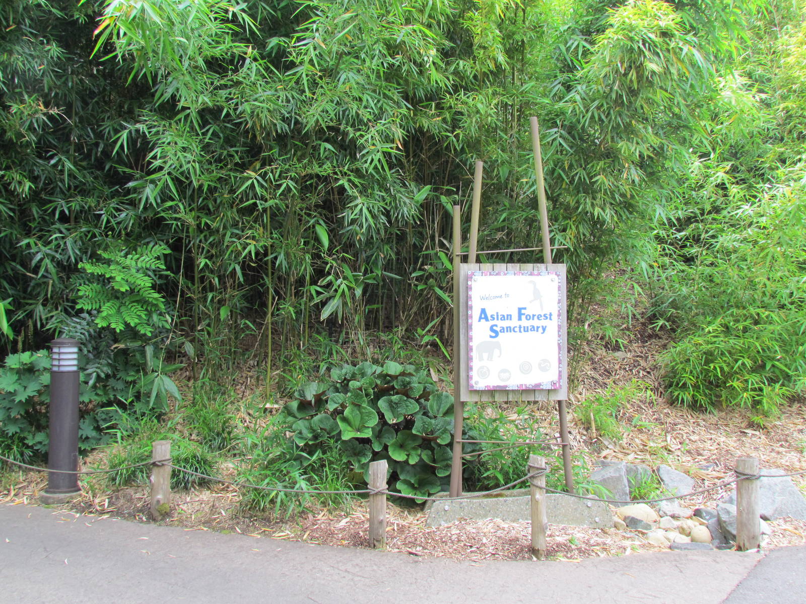 Asian Forest Sanctuary