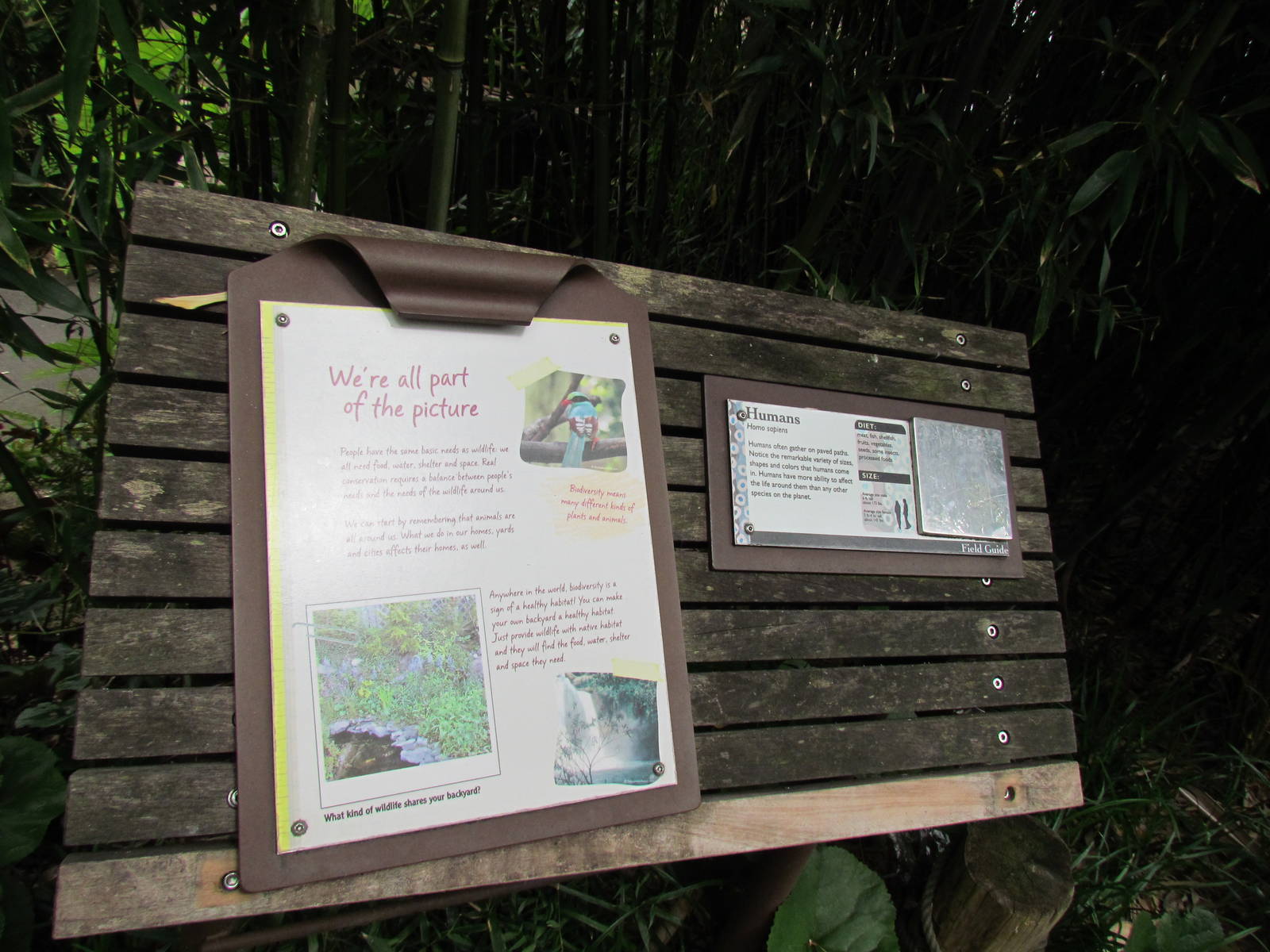 Asian Forest Sanctuary