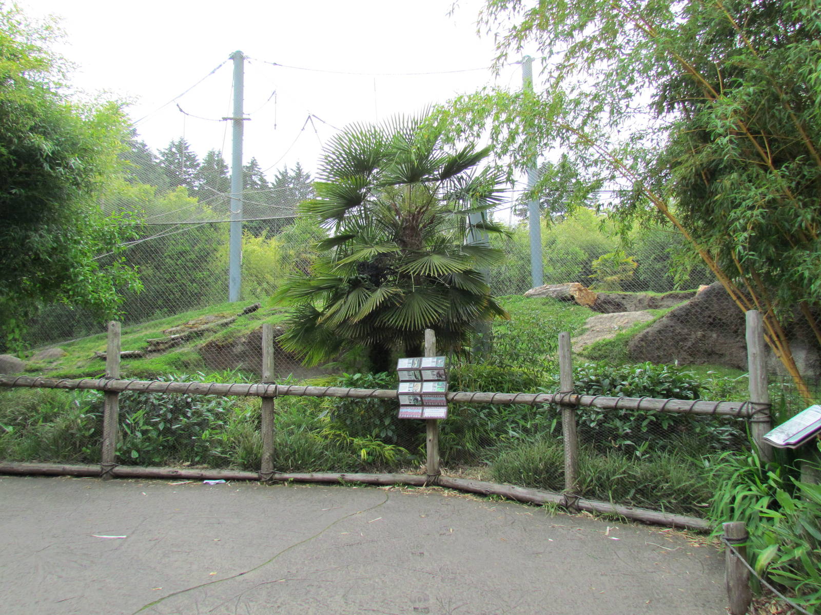 Asian Forest Sanctuary