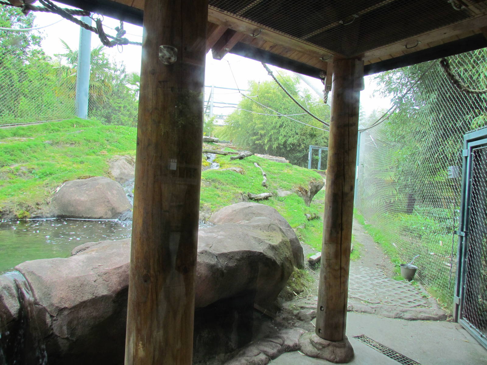 Asian Forest Sanctuary