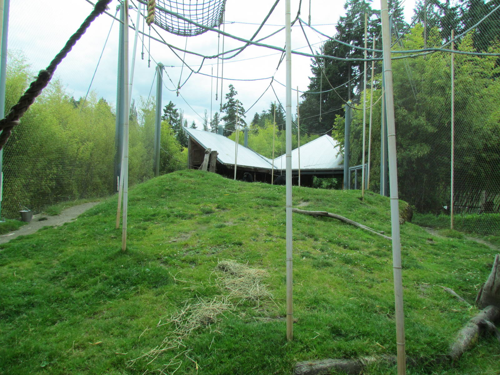 Asian Forest Sanctuary