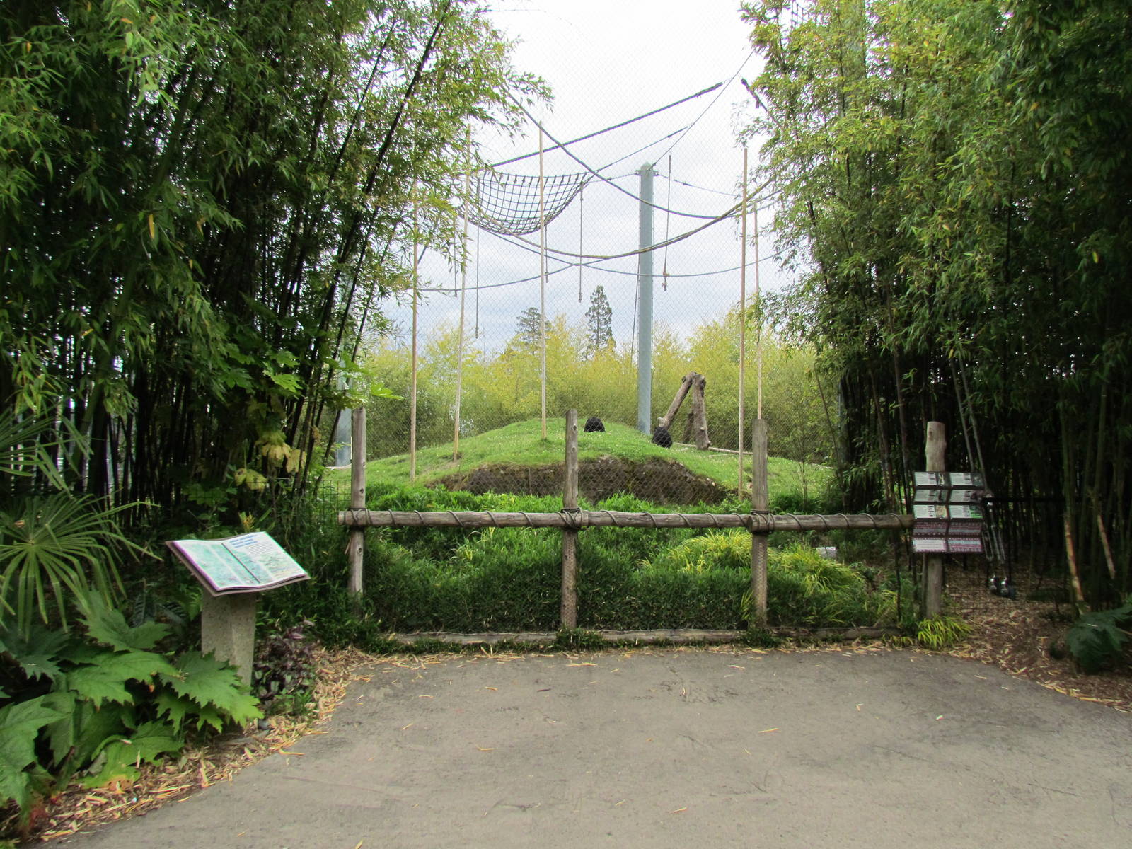 Asian Forest Sanctuary