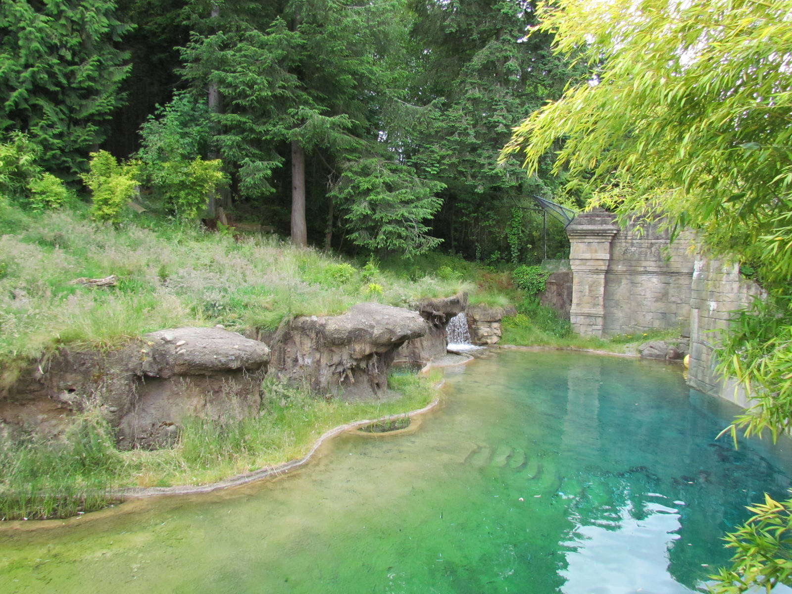 Asian Forest Sanctuary