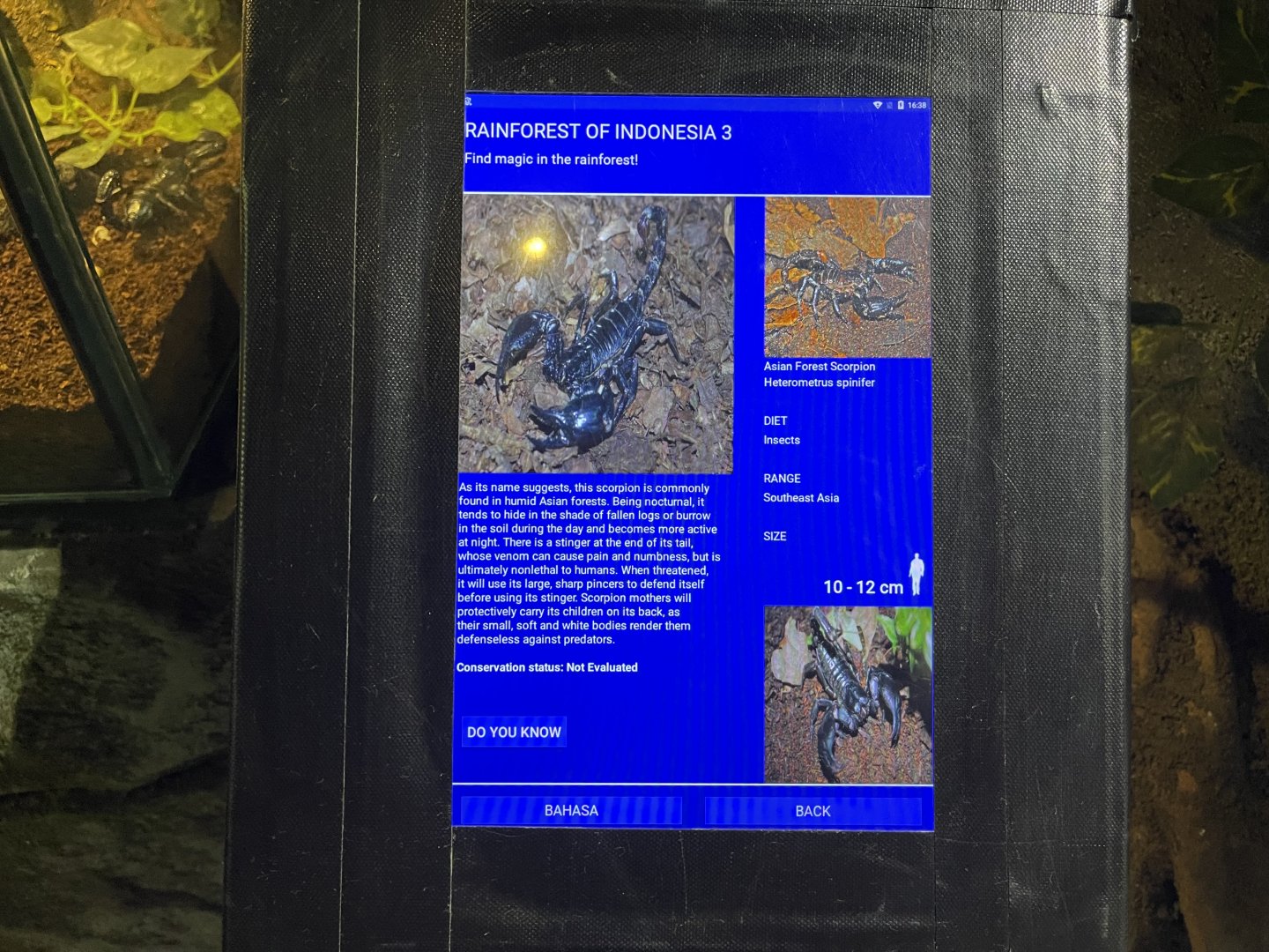 asian forest scorpion signage (1)