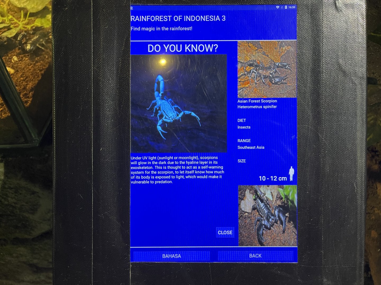 asian forest scorpion signage (2)