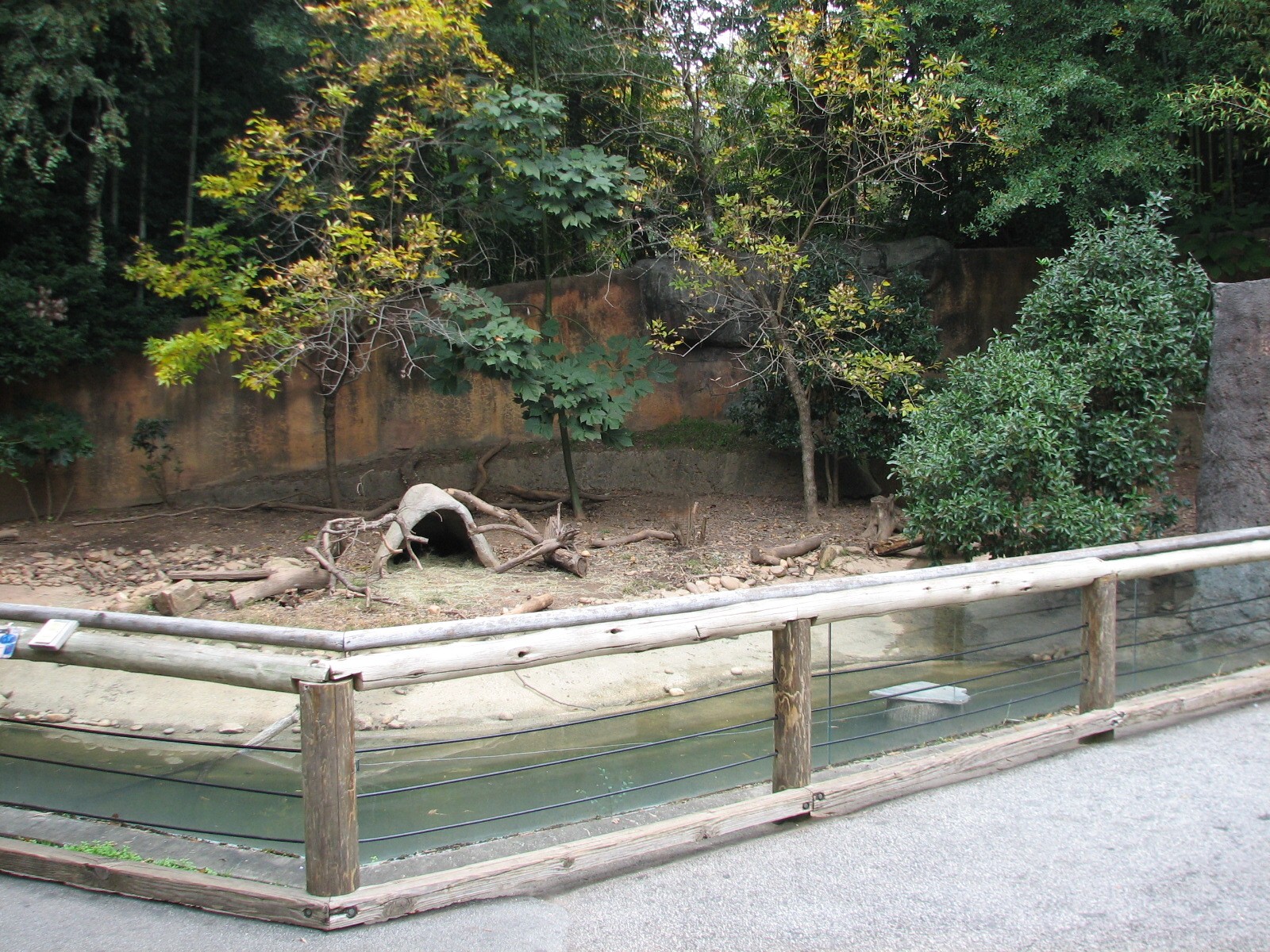 Asian Forest - Small Clawed Otter Exhibit