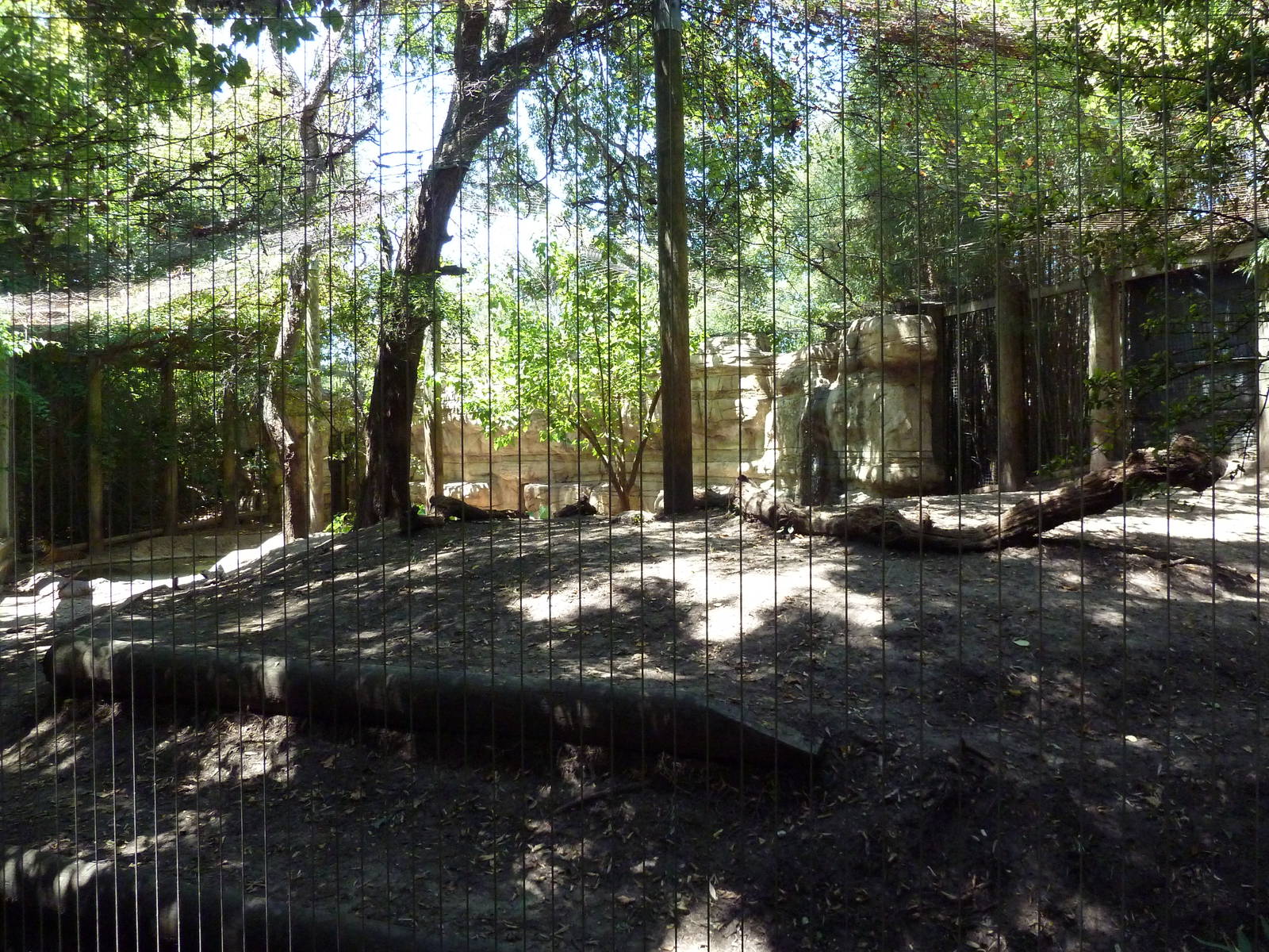 Asian Forest - Sumatran Tiger Exhibit