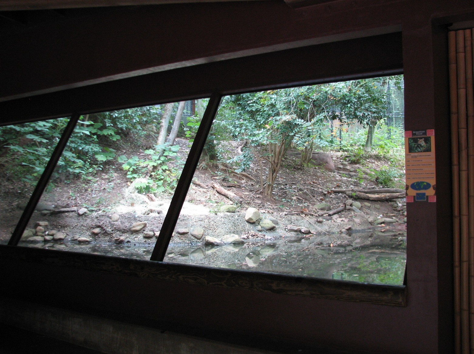 Asian Forest - Sumatran Tiger Exhibit