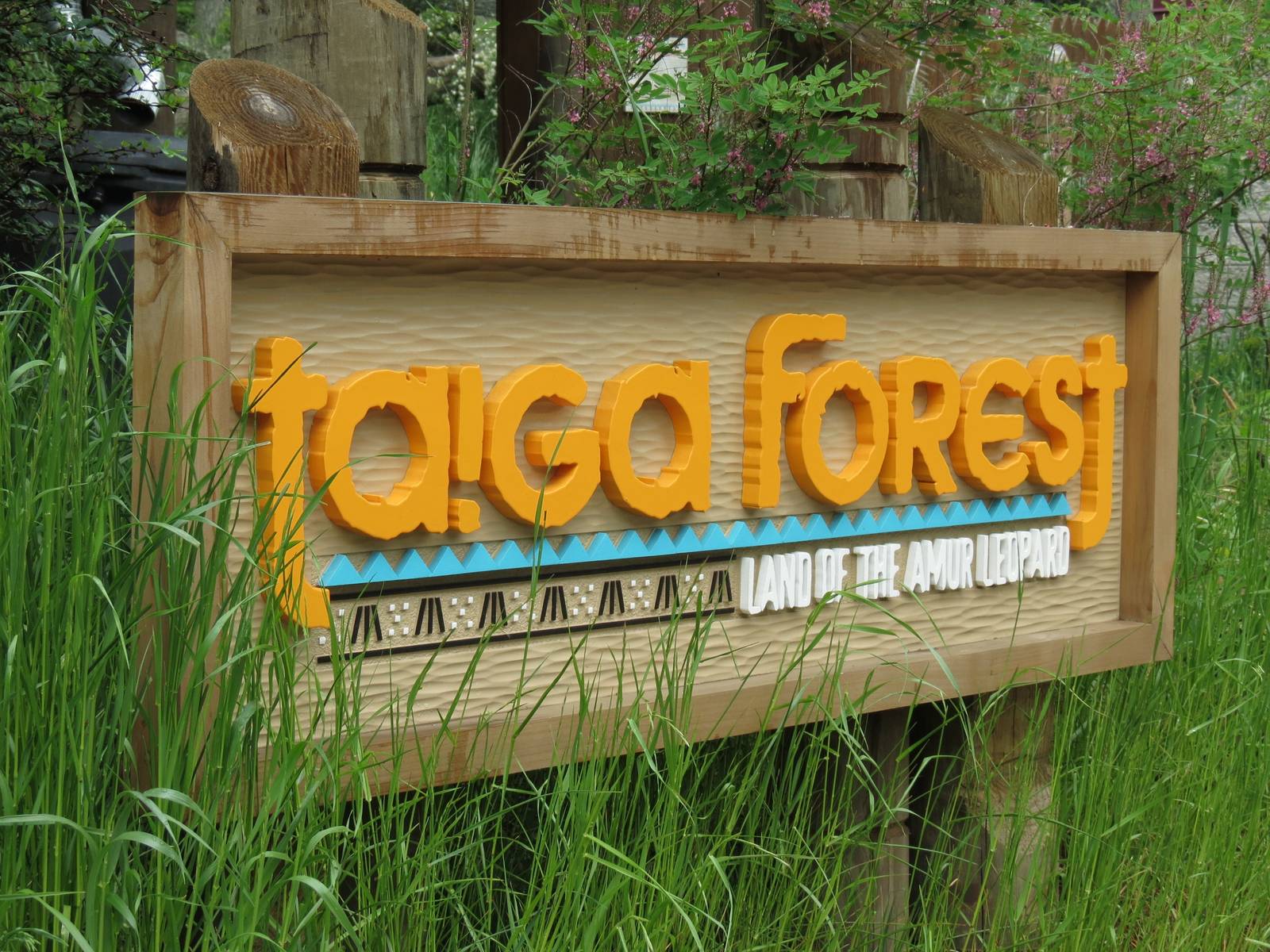 Asian Forest - Taiga Forest Sign