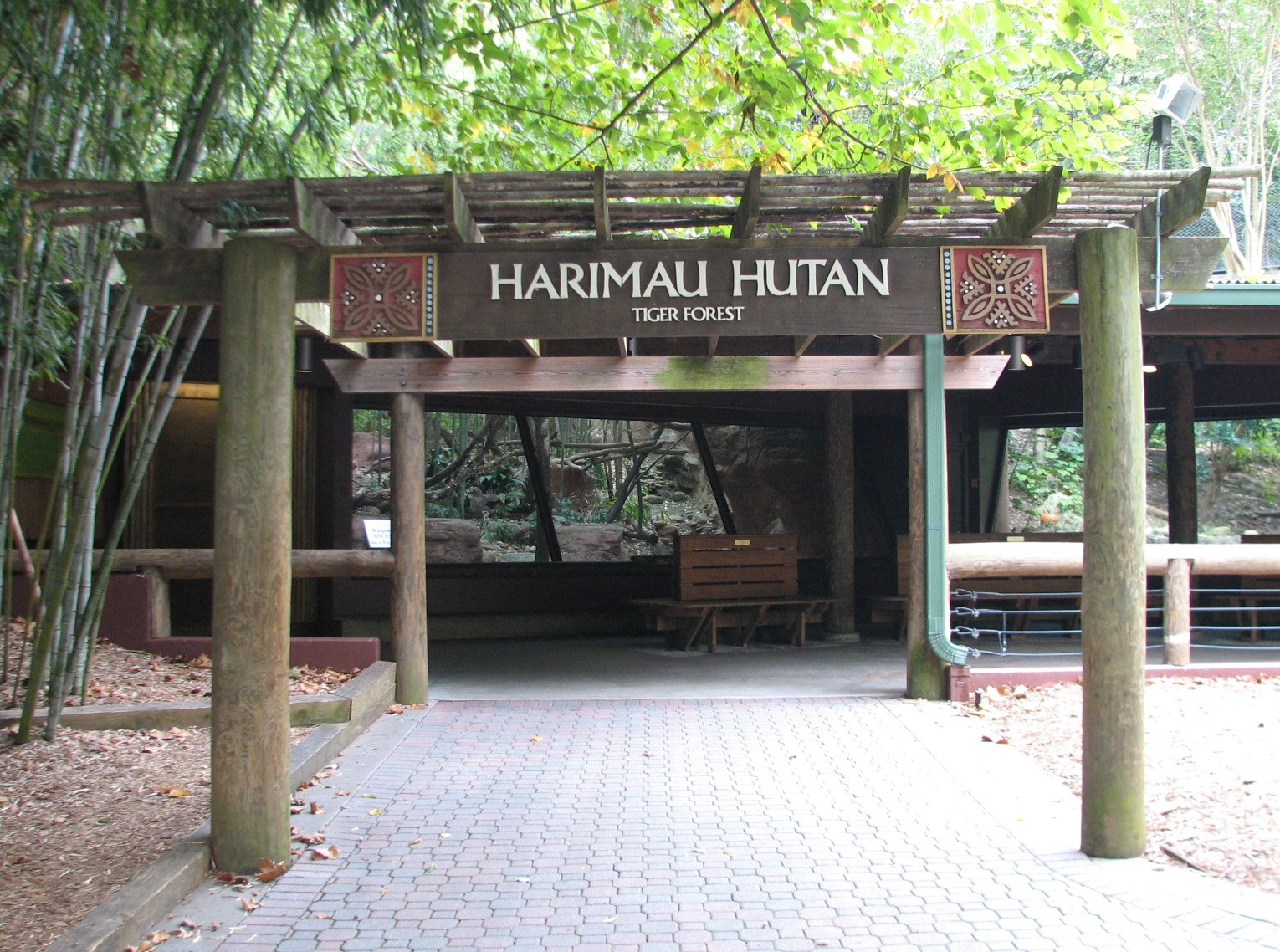 Asian Forest - Tiger Viewing Area