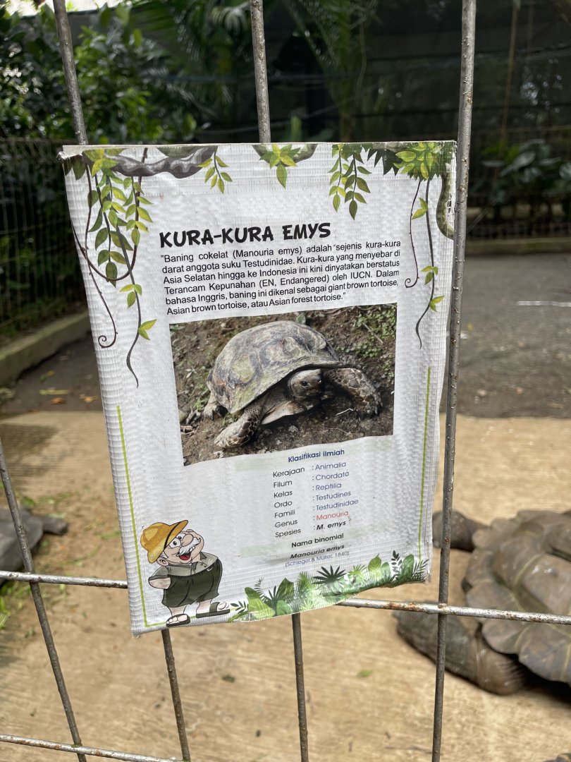 asian forest tortoise signage