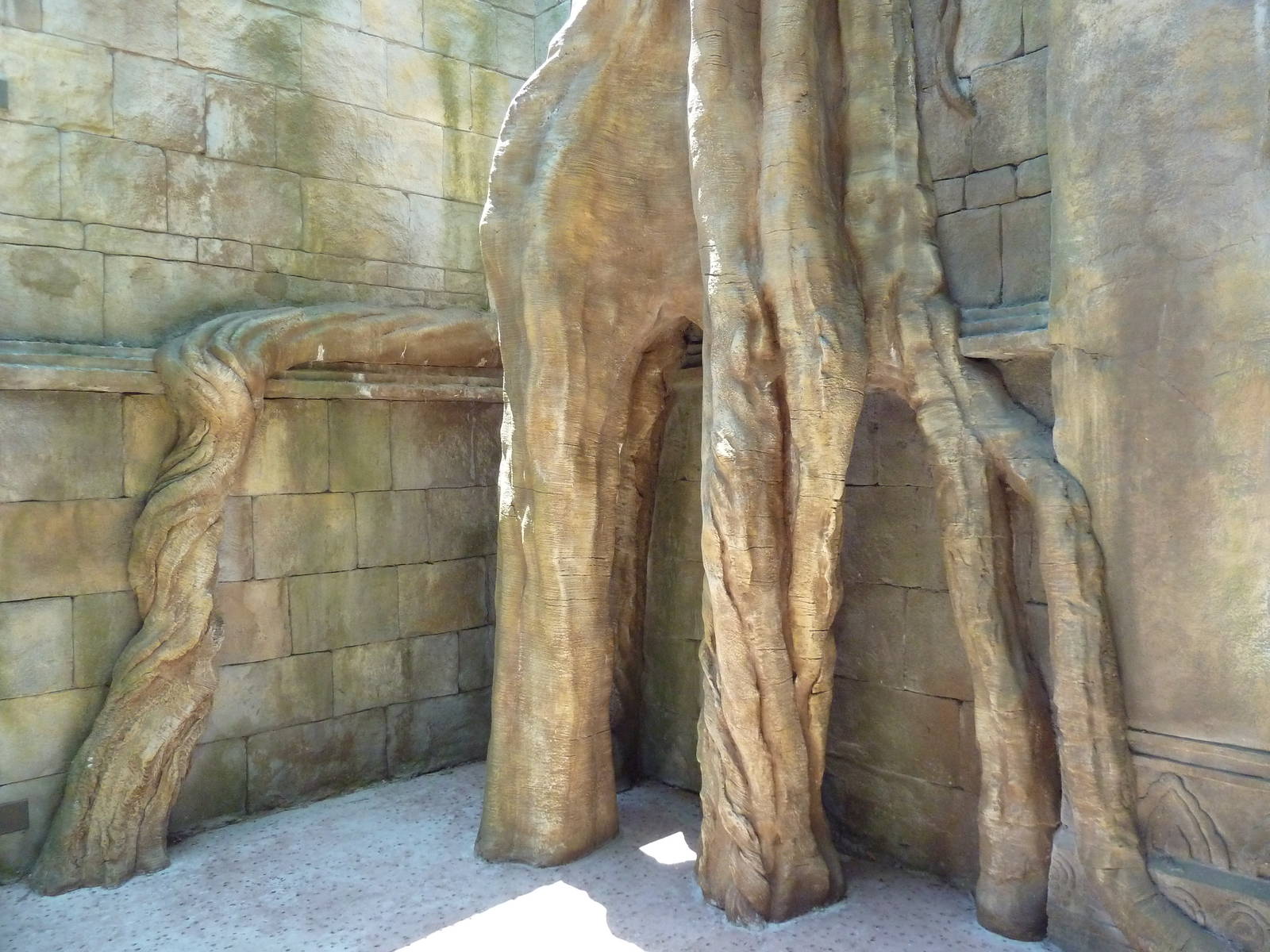 Asian Forest - Tree Branches