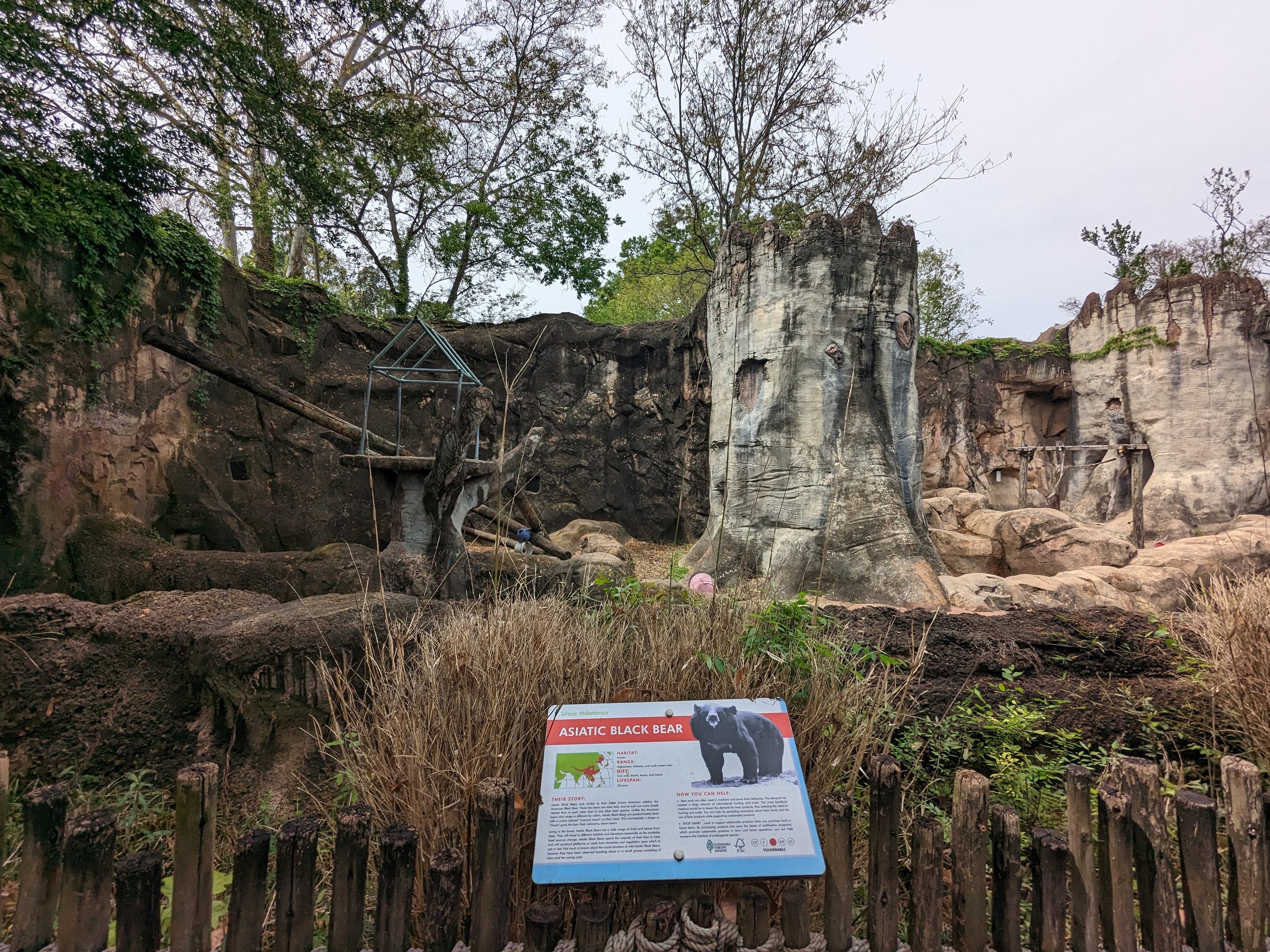 Asian Garden - Asiatic black bear exhibit view