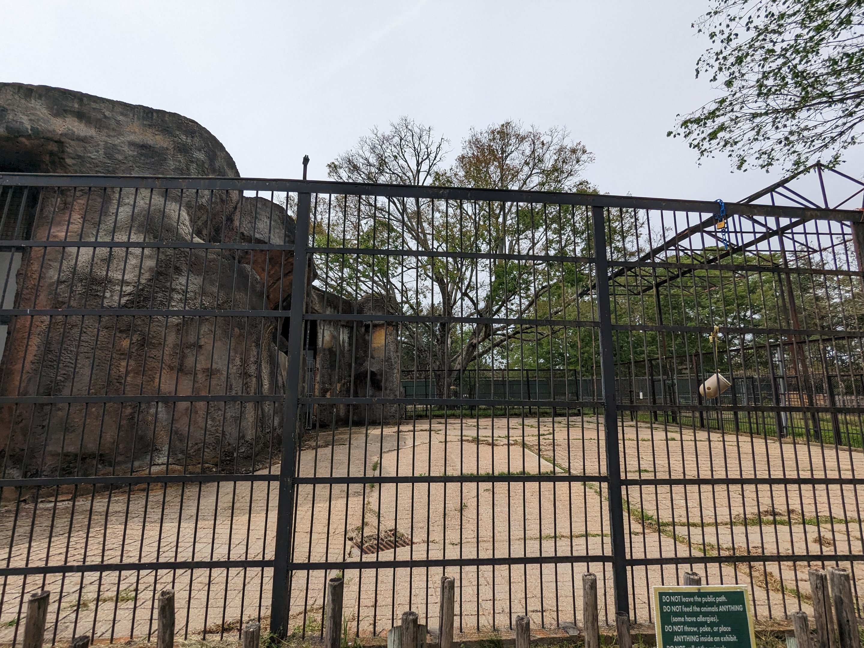 Asian Garden - empty exhibit (former reticulated giraffe)