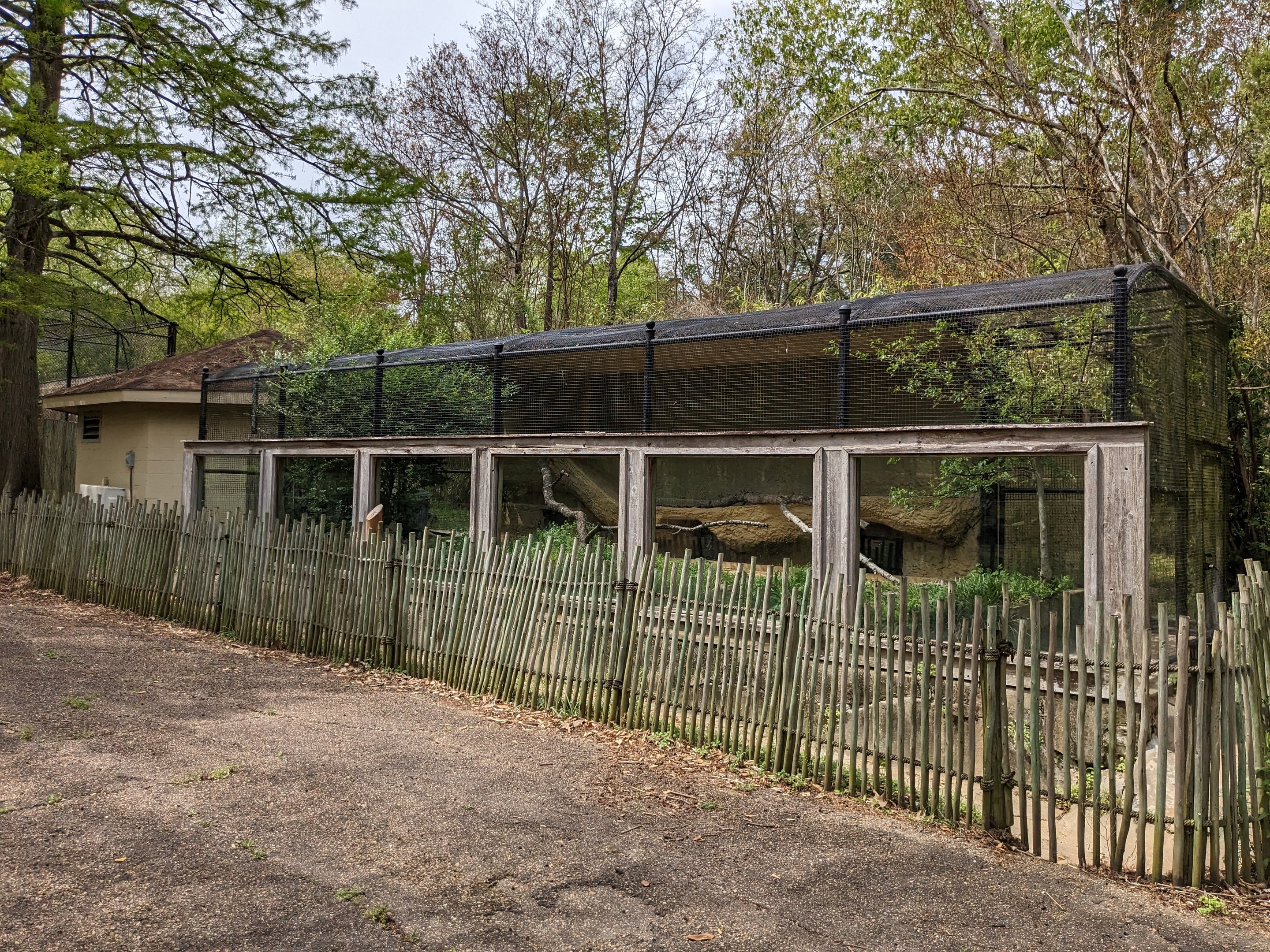 Asian Garden - Fishing cat