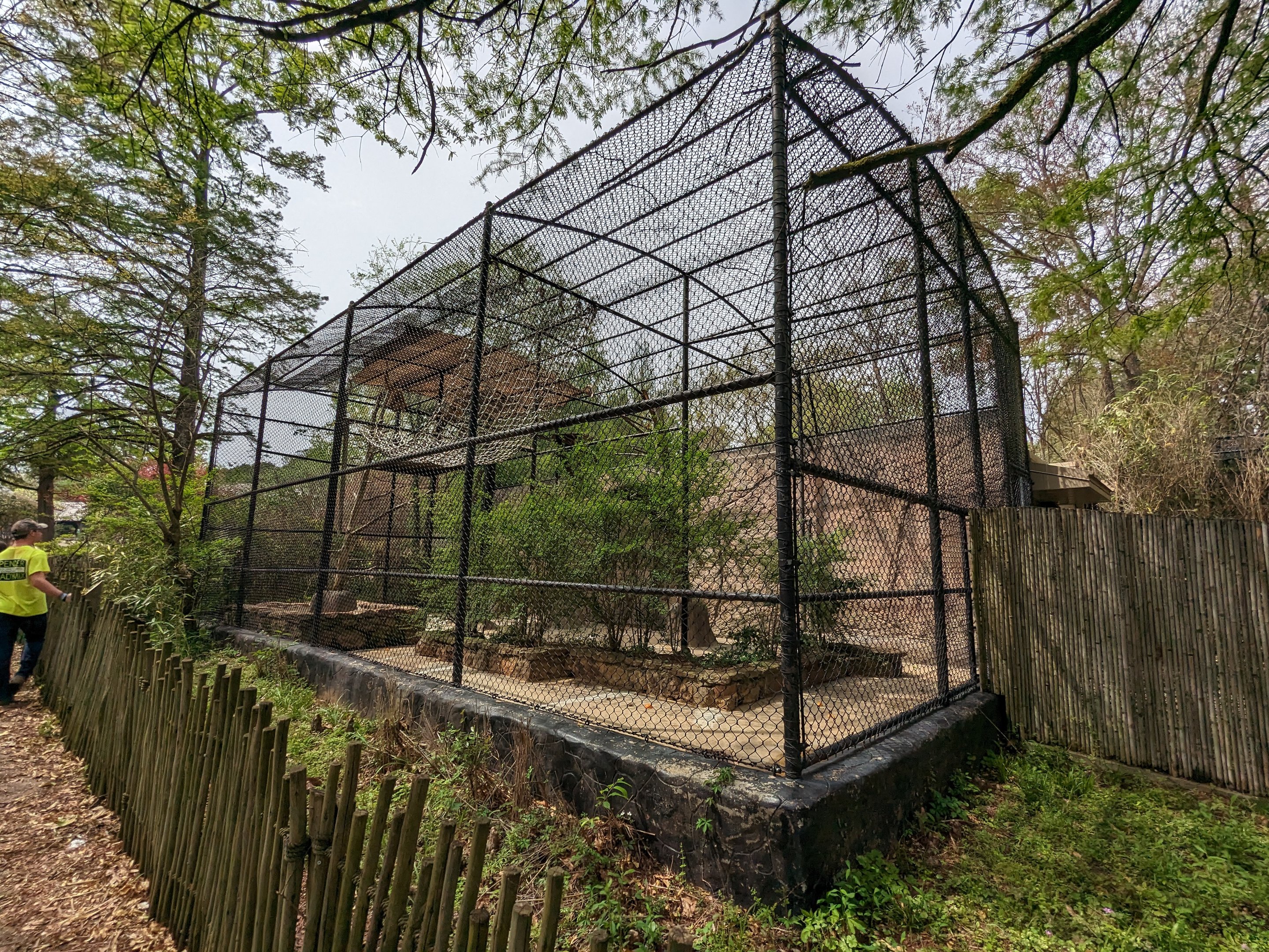 Asian Garden - Gibbon