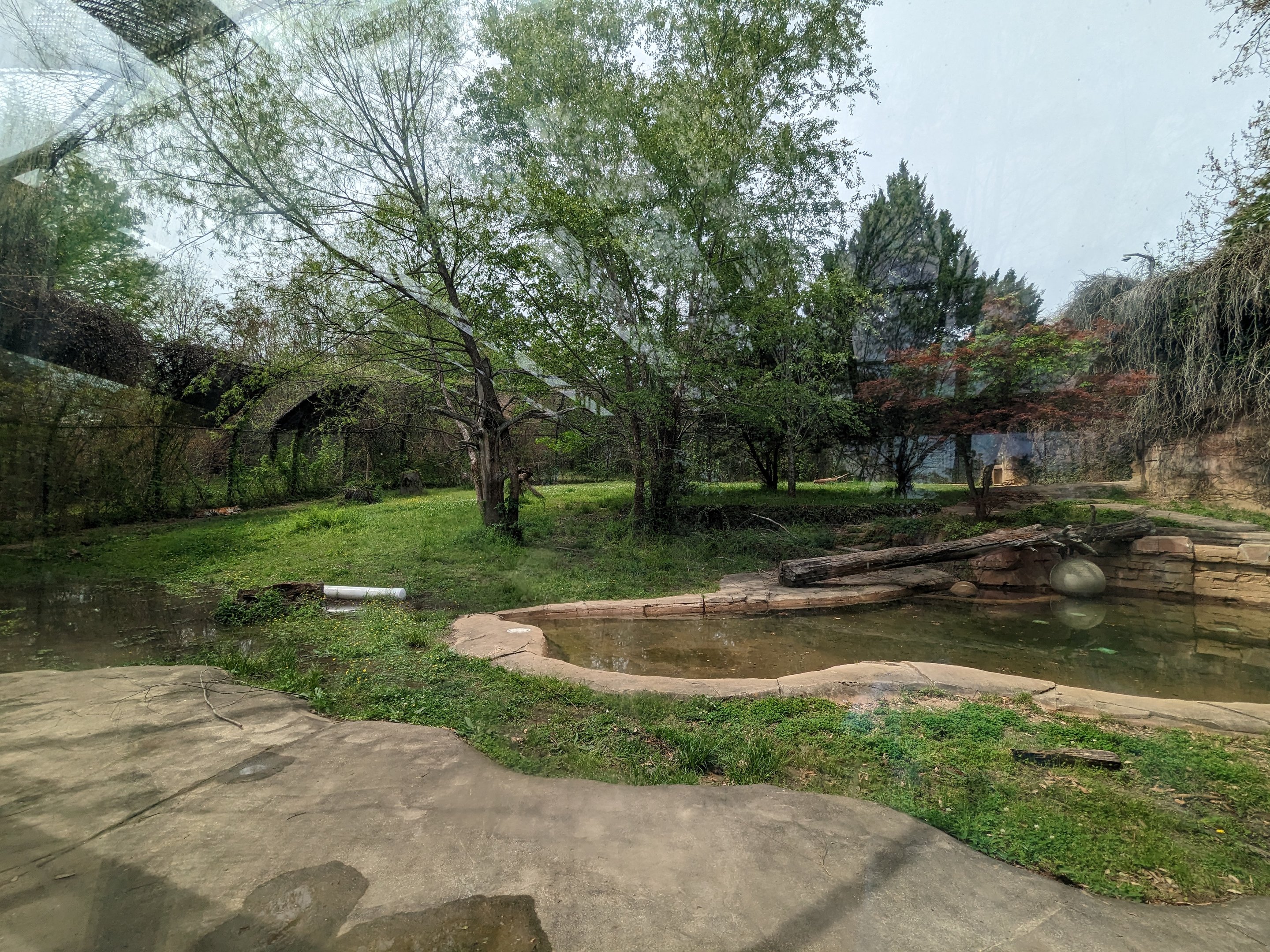 Asian Garden - Sumatran Tiger exhibit view