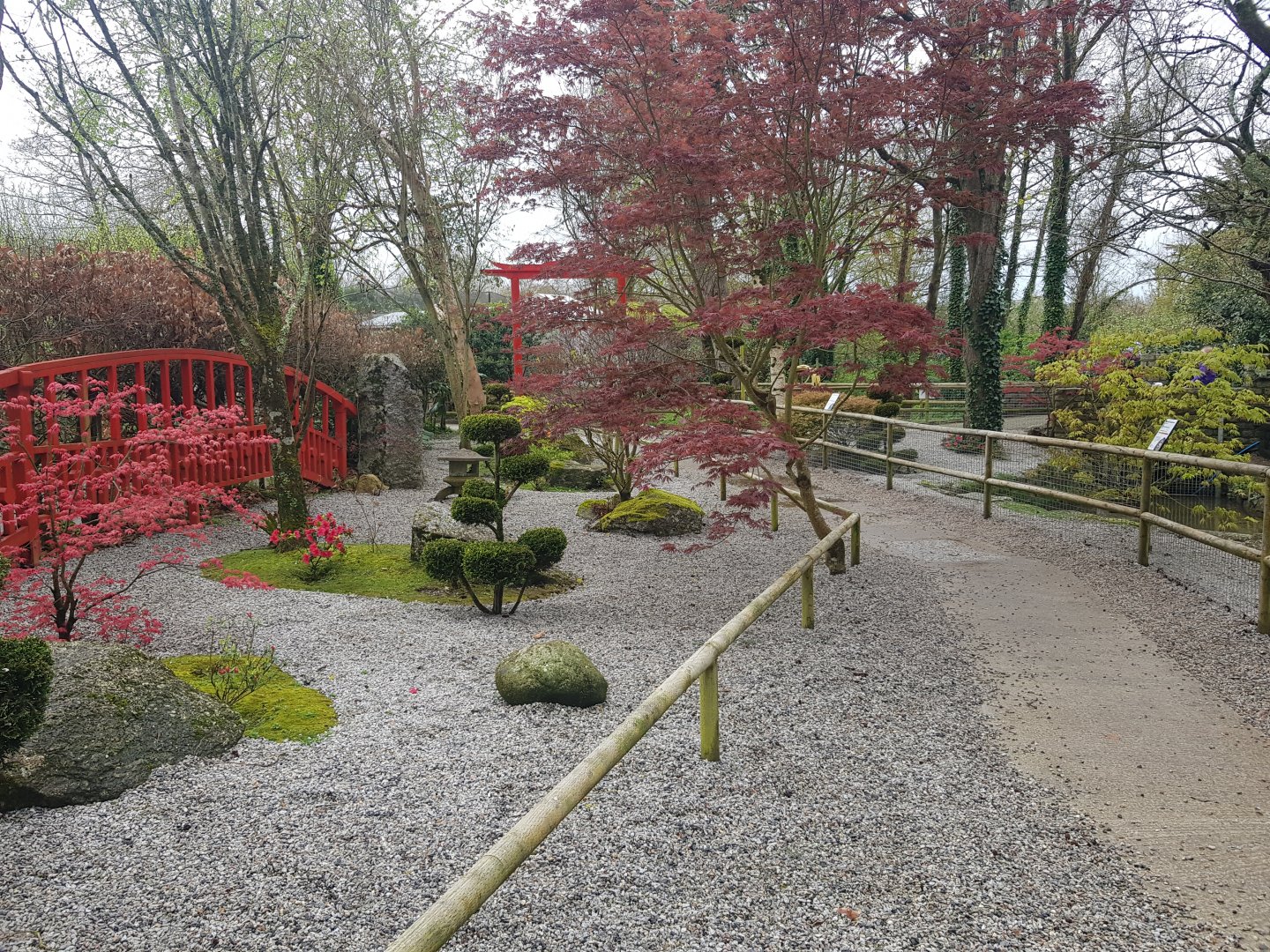 Asian Garden