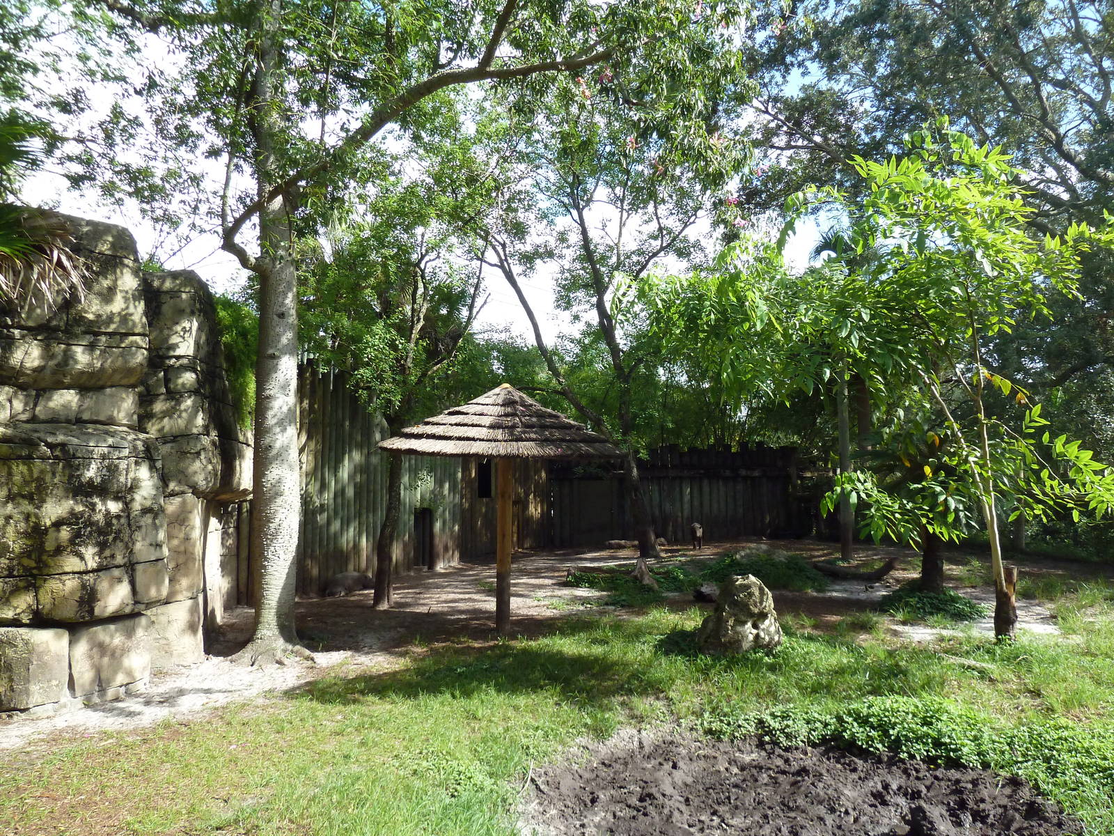 Asian Gardens - Babirusa Exhibit