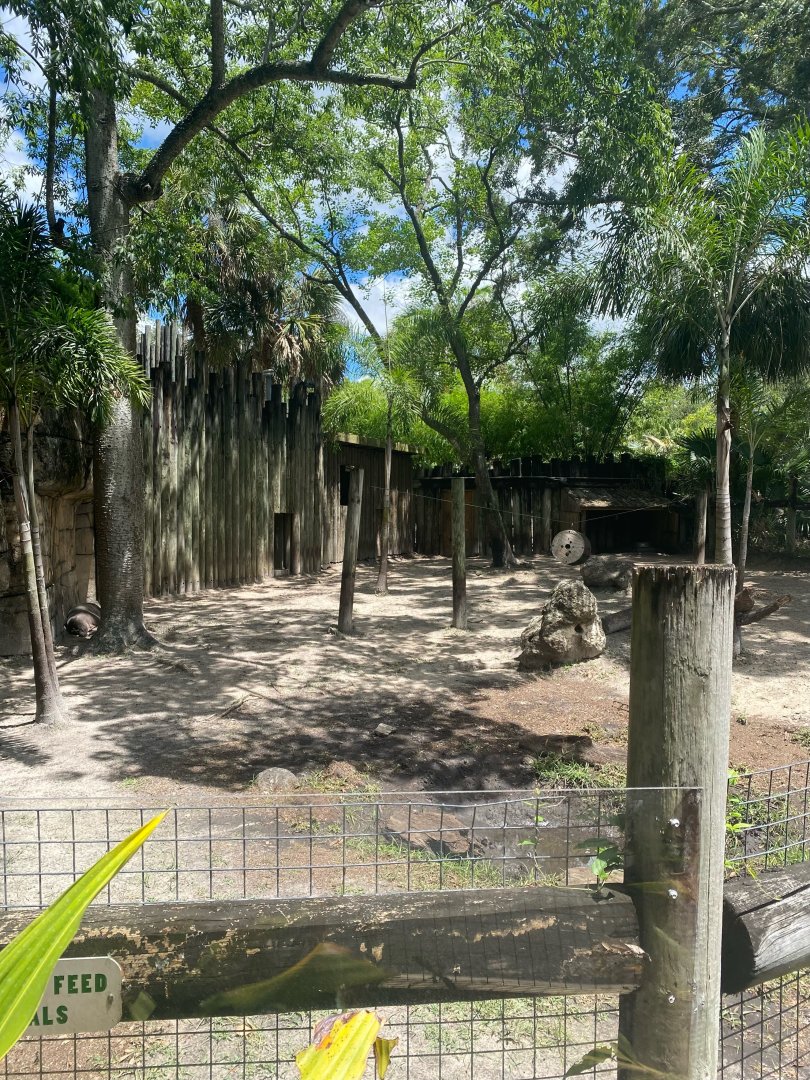 Asian Gardens- Babirusa Exhibit