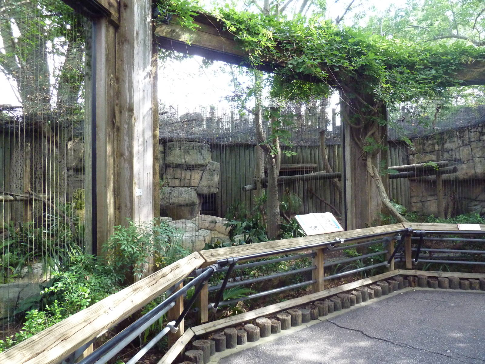 Asian Gardens - Clouded Leopard Exhibit