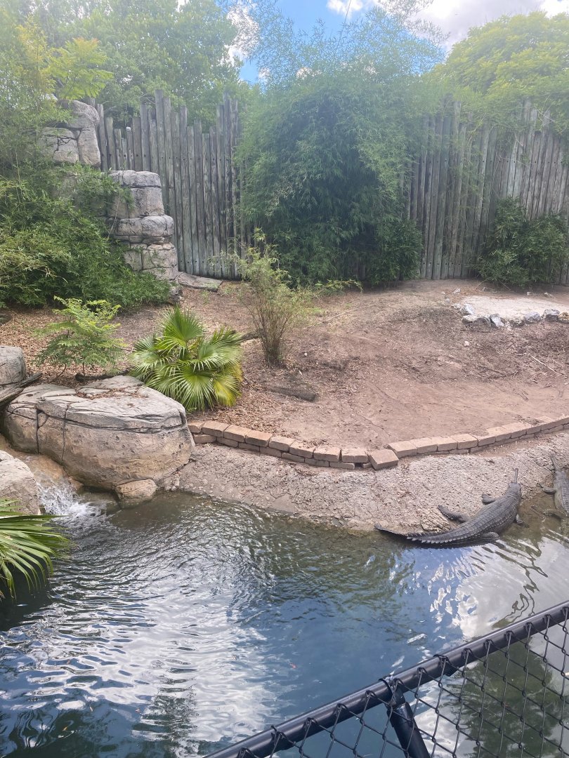 Asian Gardens- Indian Gharial Exhibit