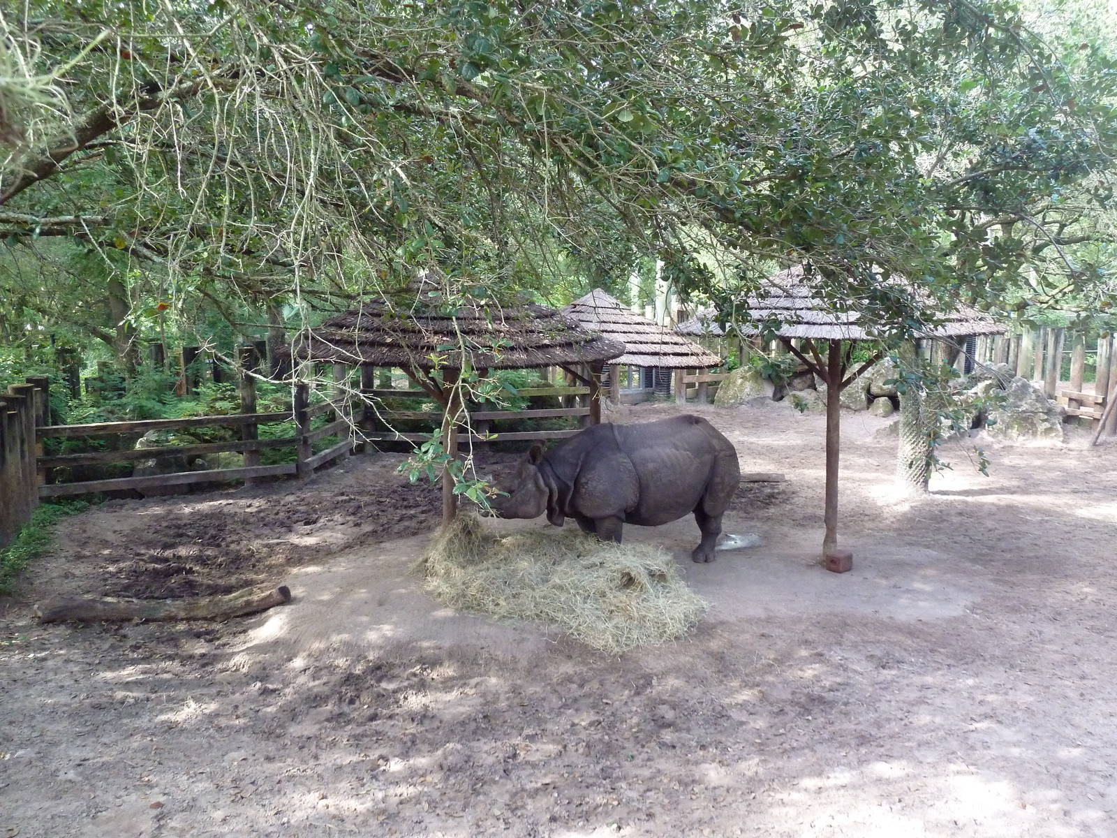 Asian Gardens - Indian Rhino Exhibit