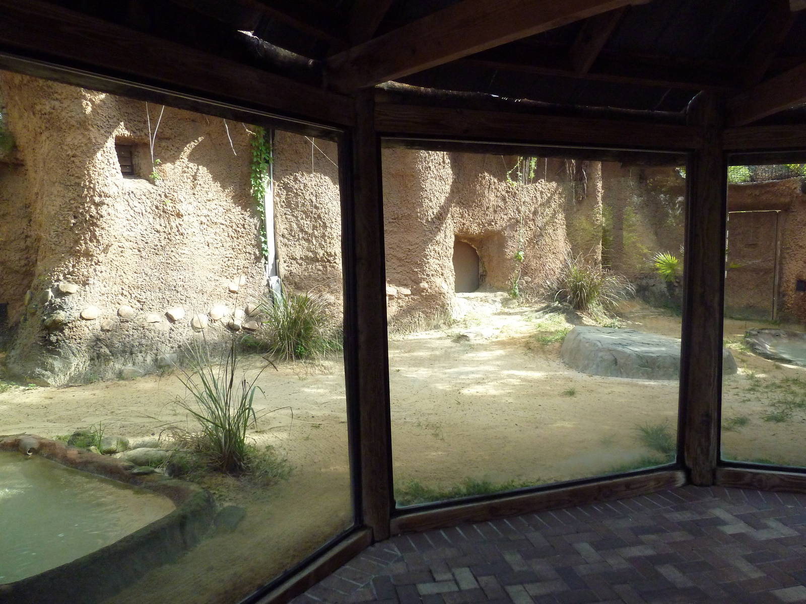 Asian Gardens - Komodo Dragon Exhibit