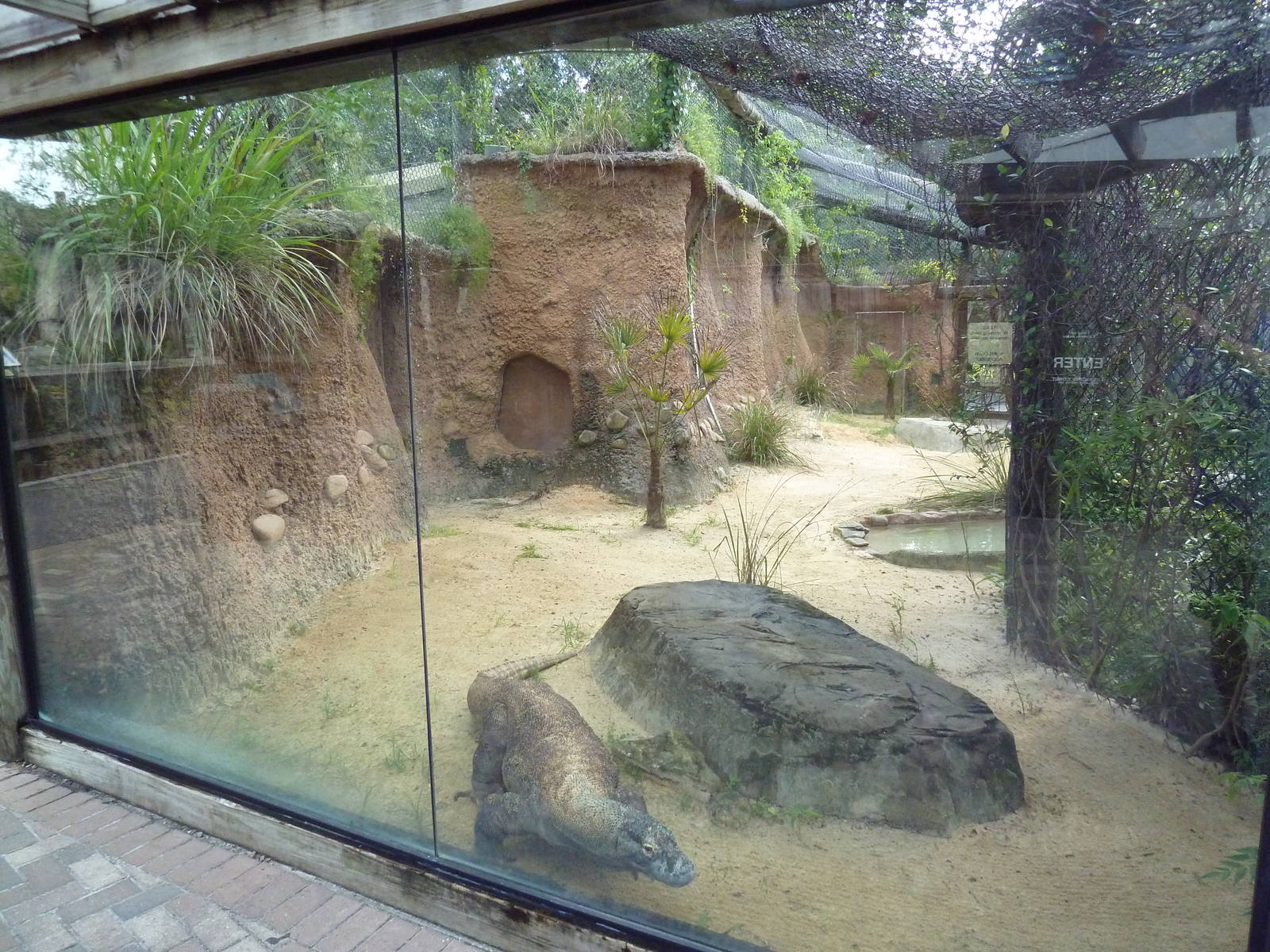 Asian Gardens - Komodo Dragon Exhibit