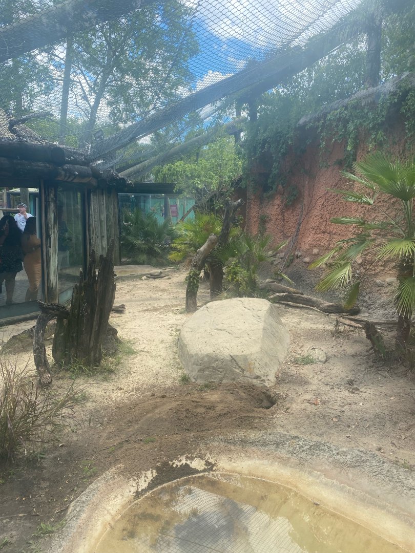 Asian Gardens- Komodo Dragon Exhibit