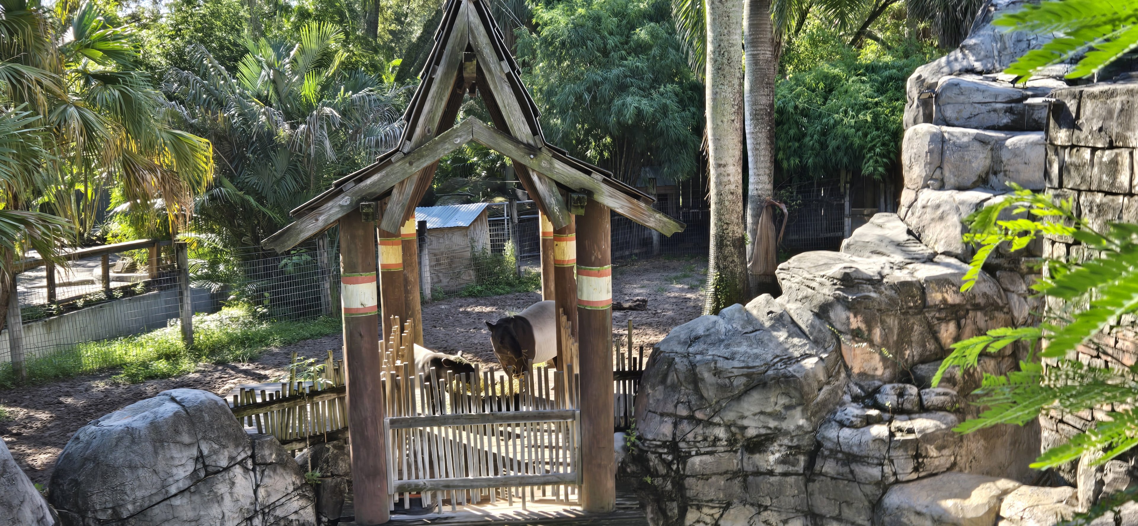 Asian Gardens - Malayan Tapir and calf