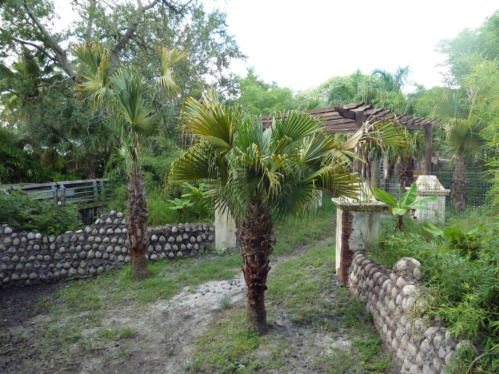 Asian Gardens - Malayan Tapir Exhibit