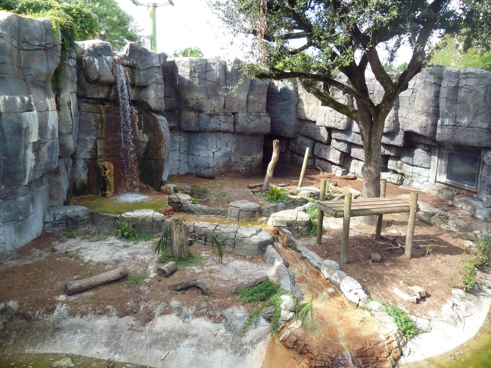 Asian Gardens - Malayan Tiger Exhibit