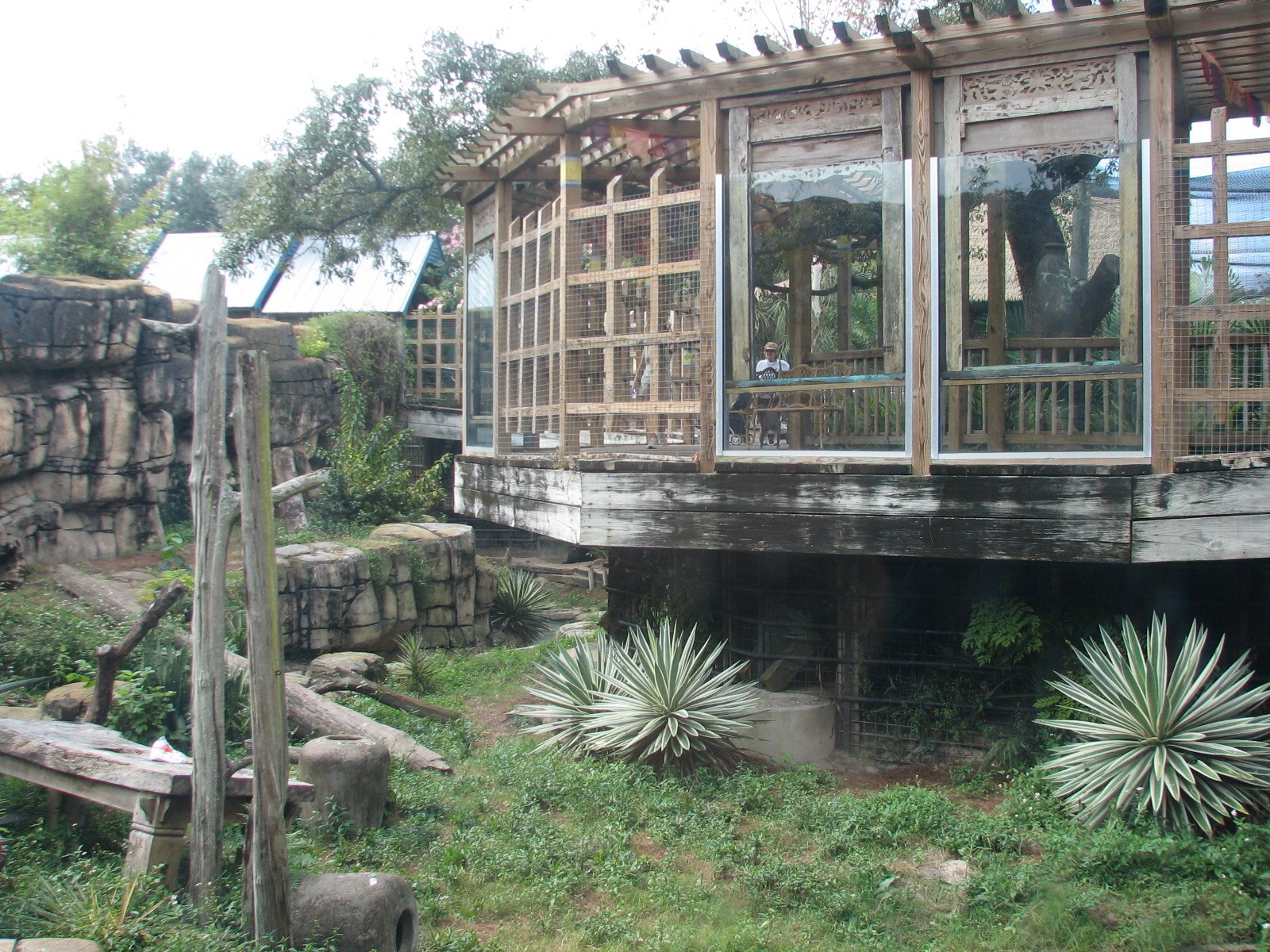 Asian Gardens Sloth Bear Exhibit