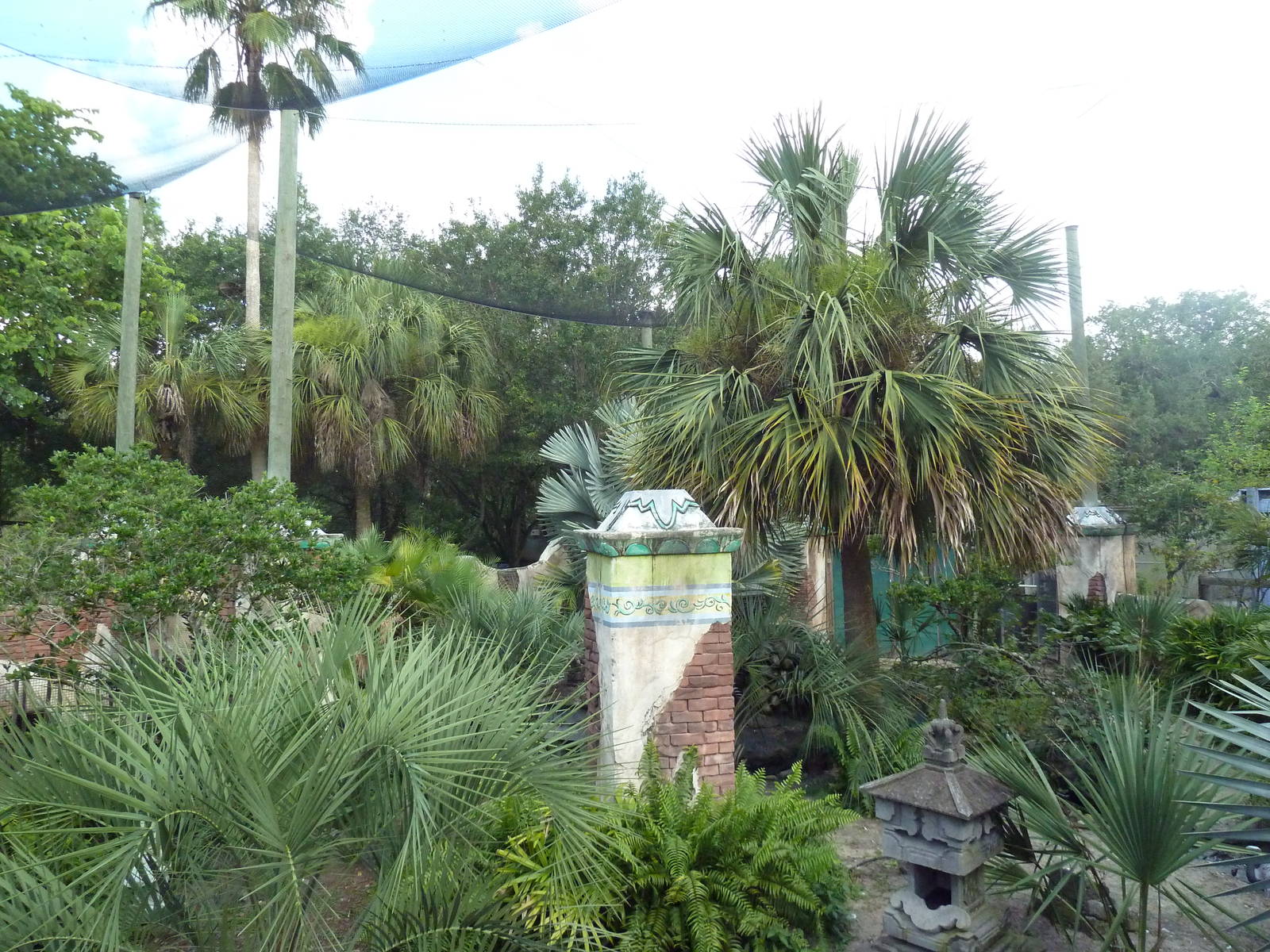 Asian Gardens - Sulawesi Aviary